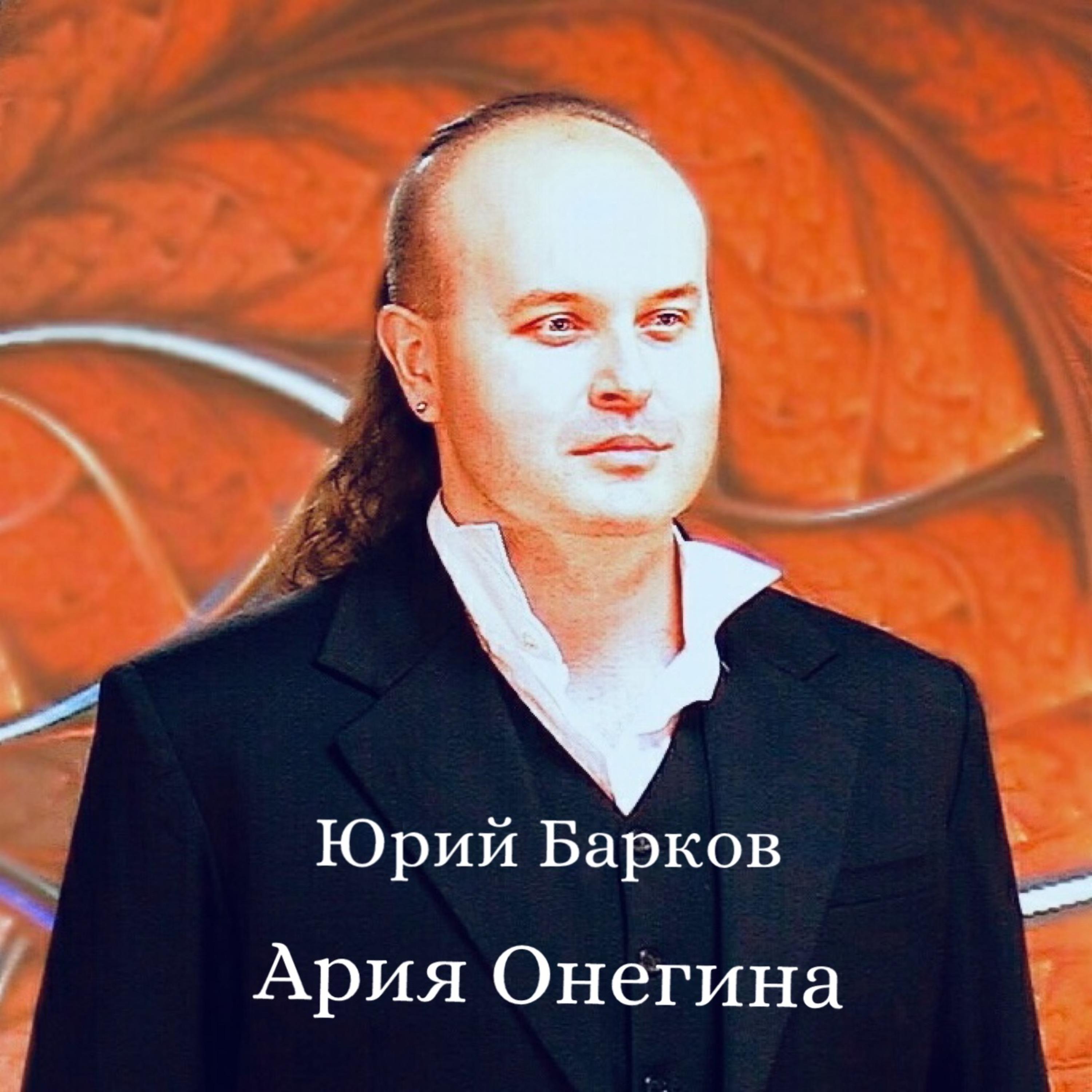 Постер альбома Ария Онегина