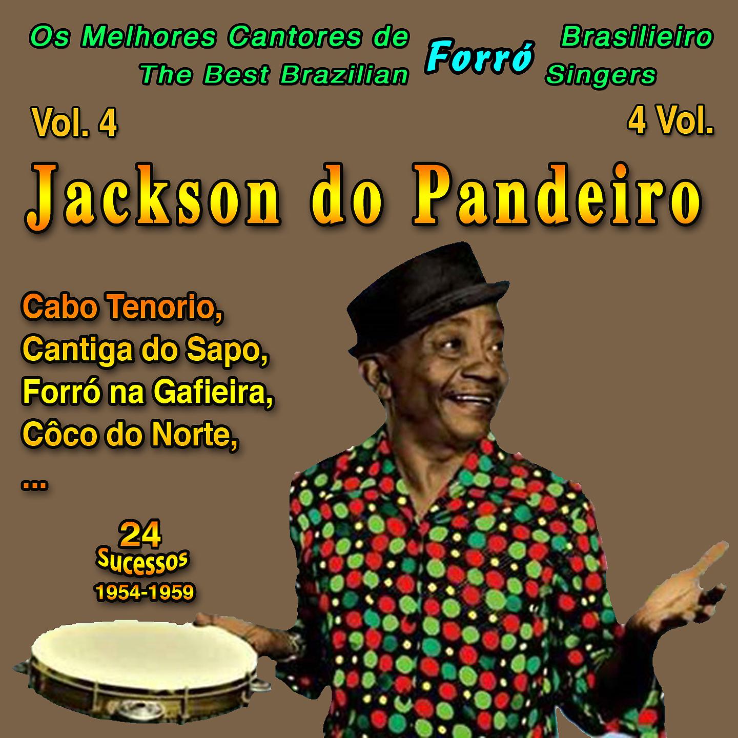 Постер альбома Os Melhores Cantores de Forro Brasileiro (The Best Brazilian Forro Singers): 4 Vol