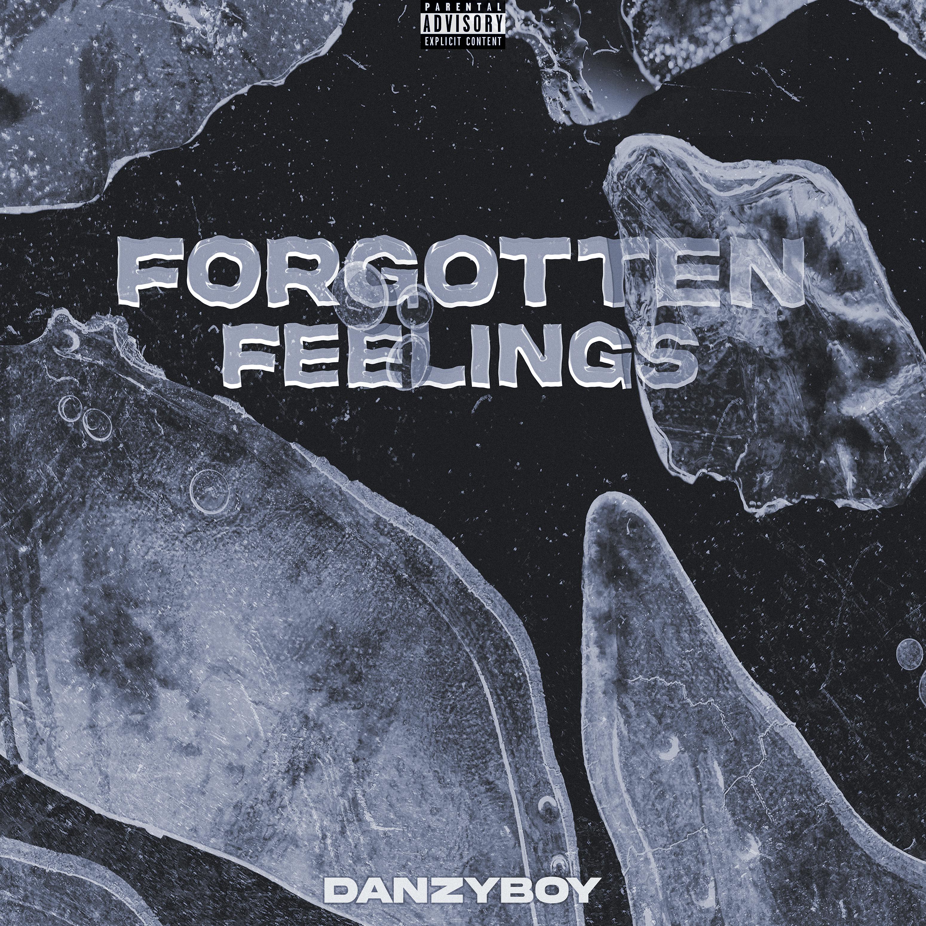 Постер альбома Forgotten Feelings