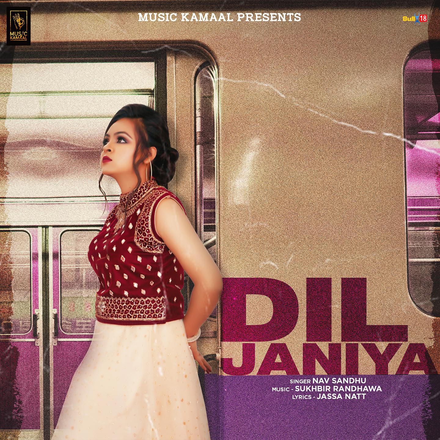 Постер альбома Diljaniya