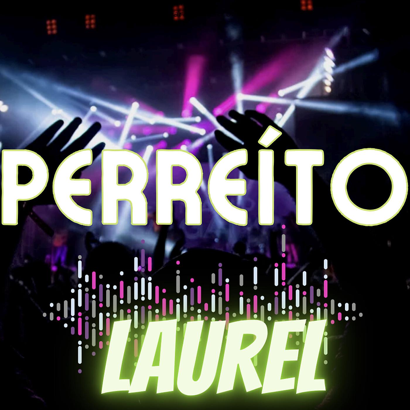 Постер альбома Perreíto