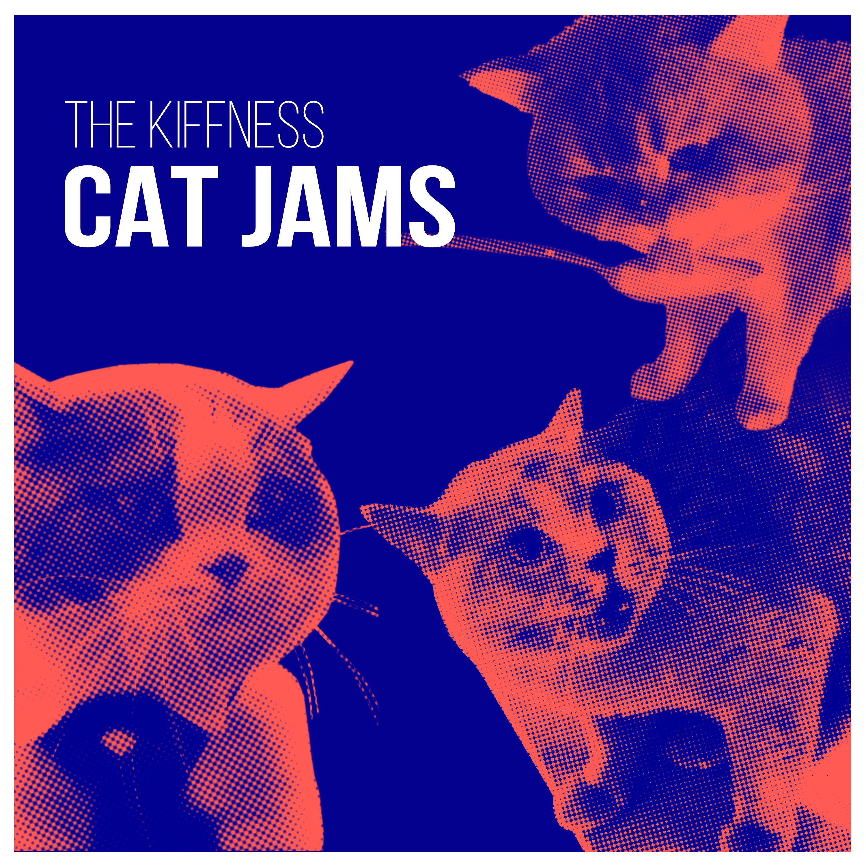 Постер альбома Cat Jams
