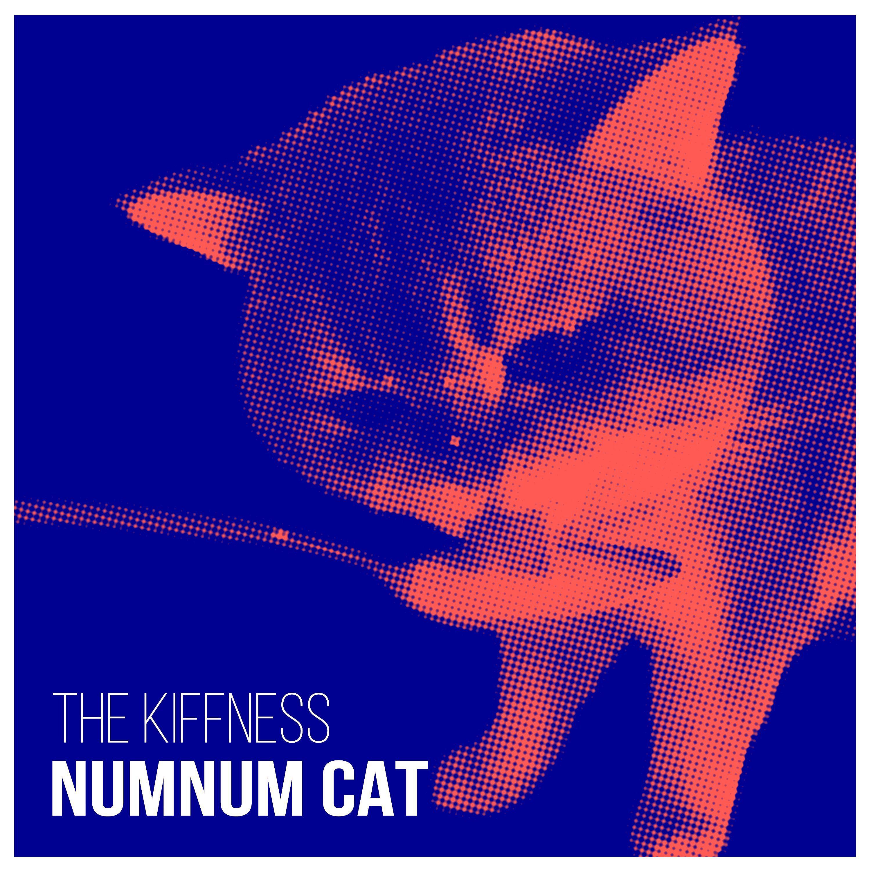 Постер альбома Numnum Cat