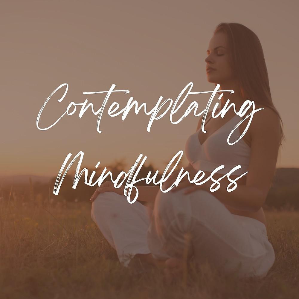 Постер альбома Contemplating Mindfulnees