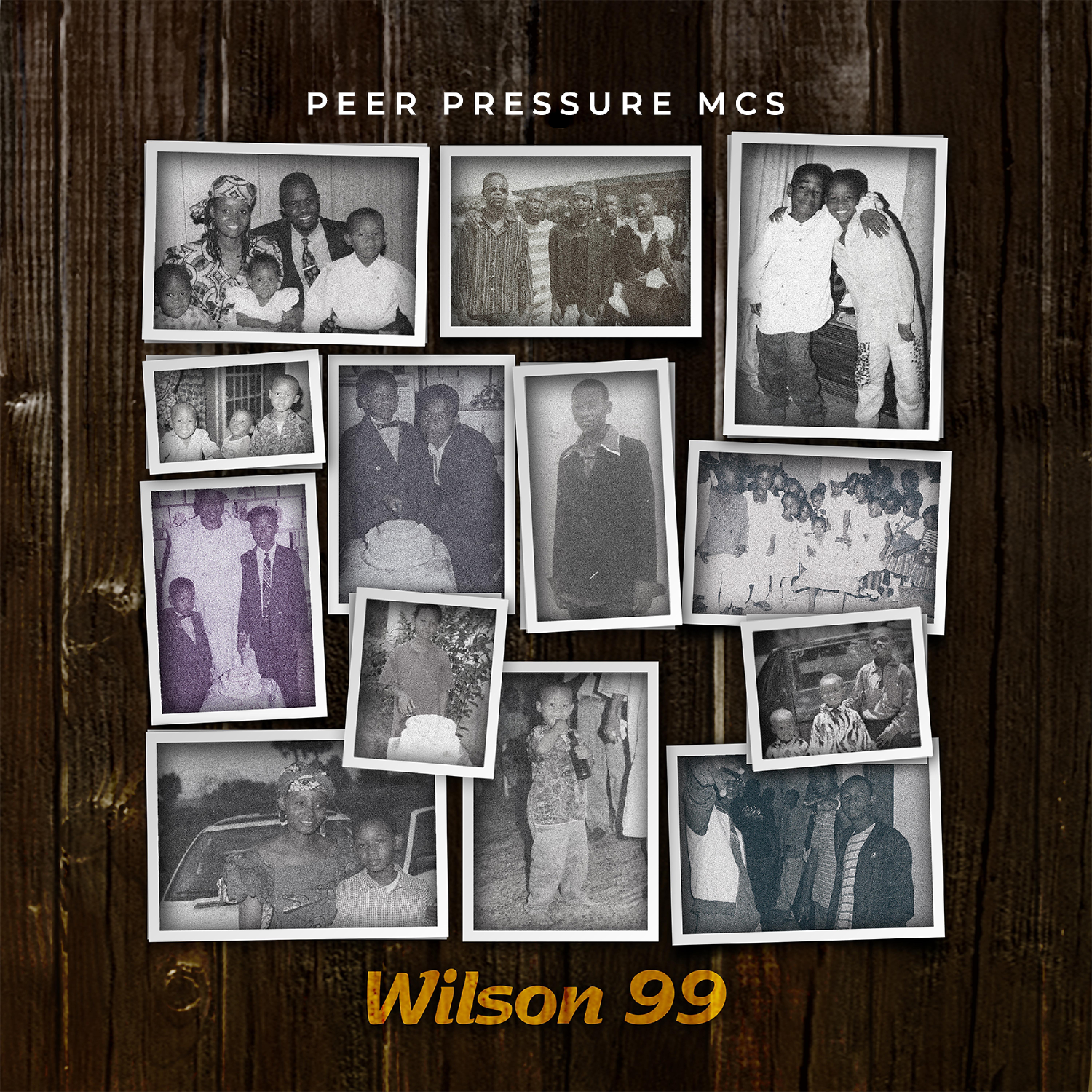 Постер альбома Wilson 99