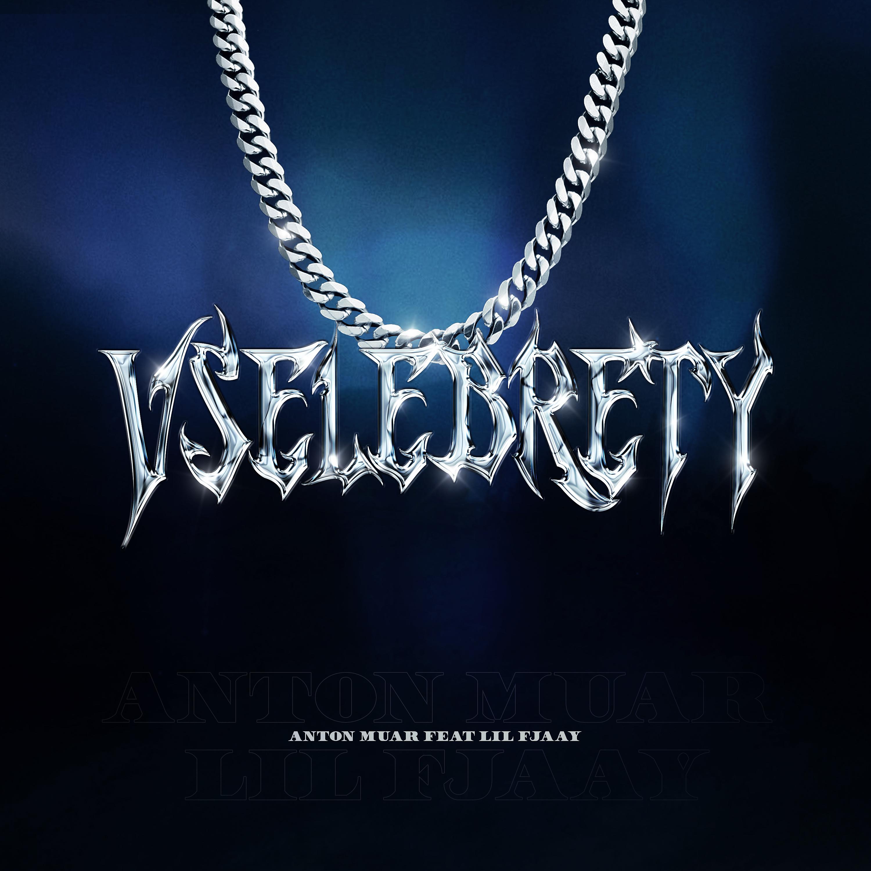 Постер альбома VSELEBRETY