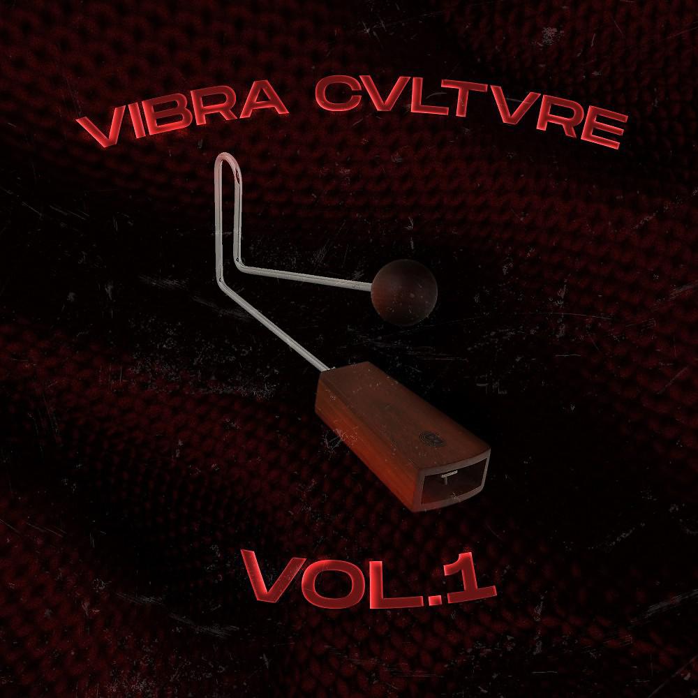 Постер альбома Vibra Cvltvre Vol. 1