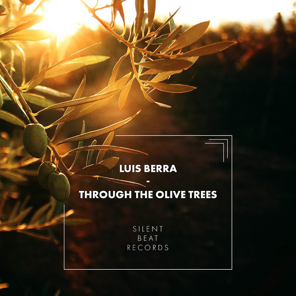 Постер альбома Through the Olive Trees