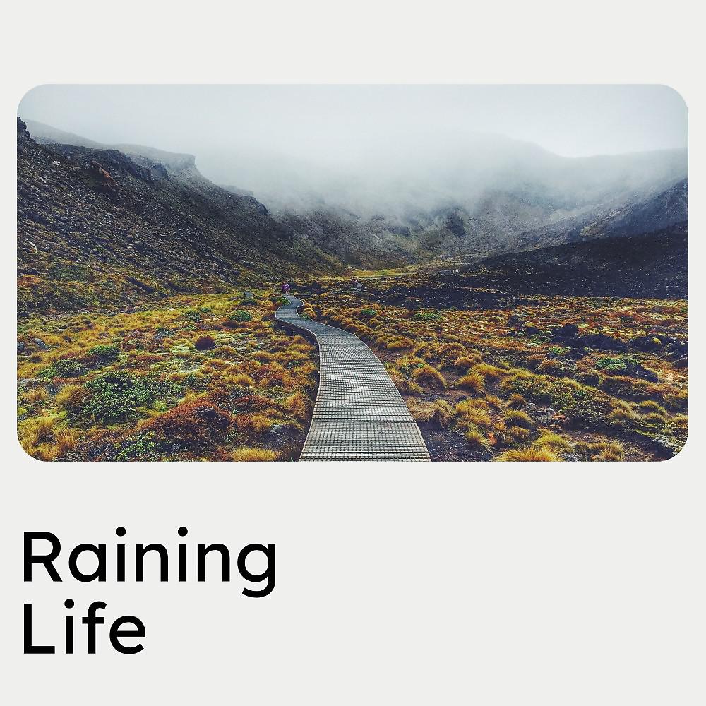 Постер альбома Raining Life