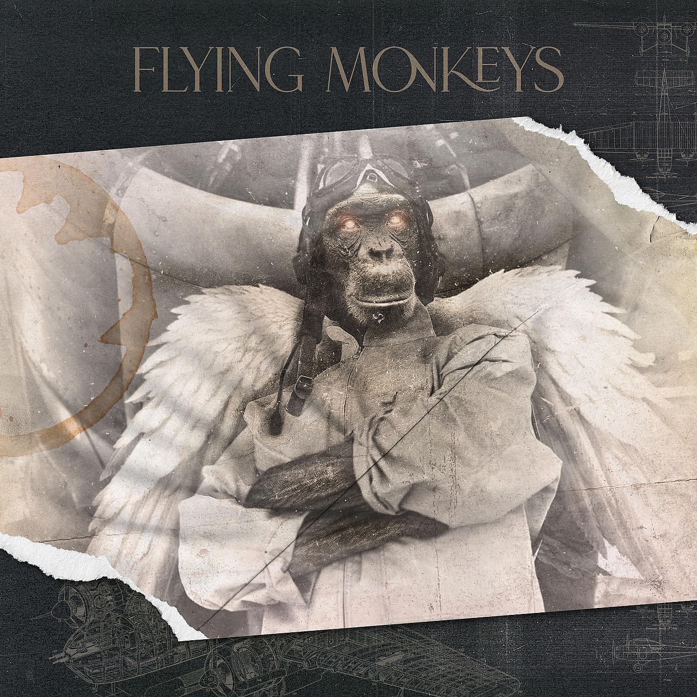 Постер альбома Flying Monkeys
