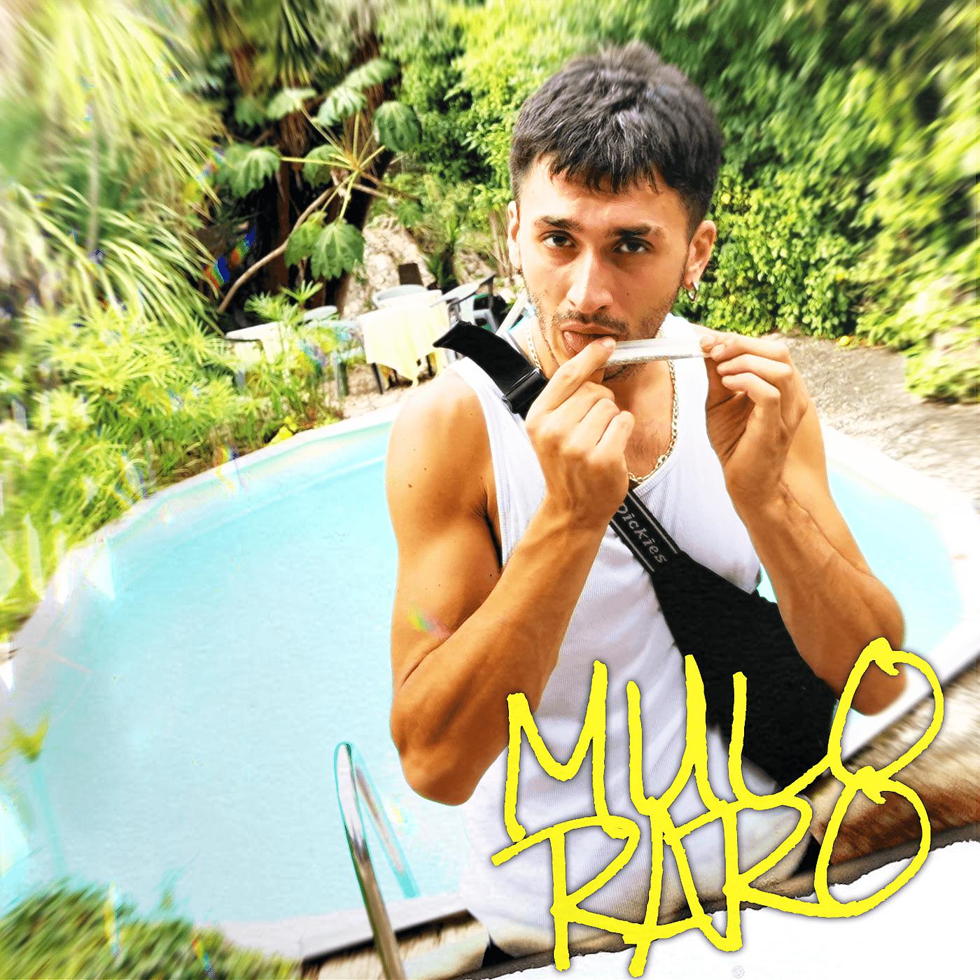 Постер альбома Mulo Raro
