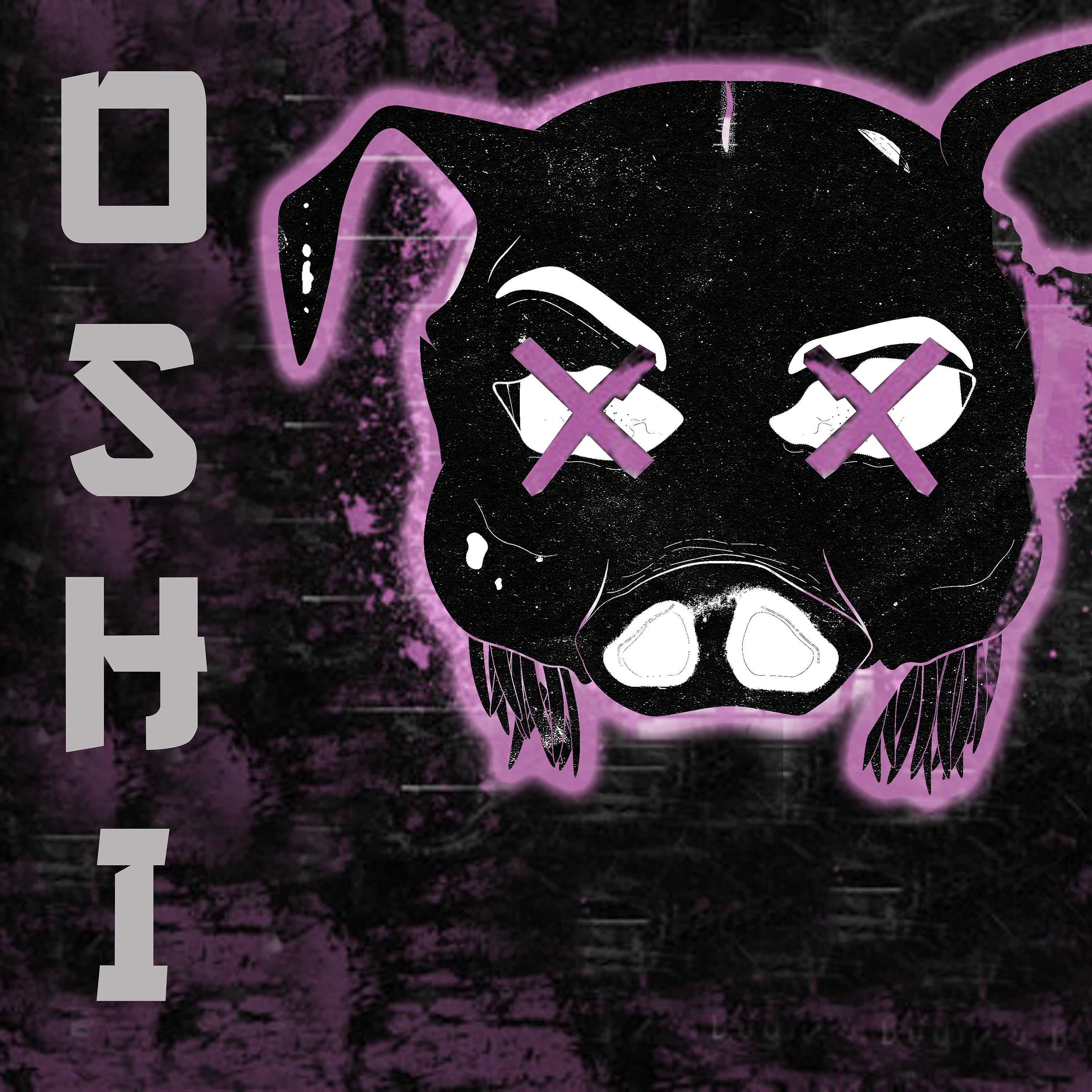 Постер альбома Oshi