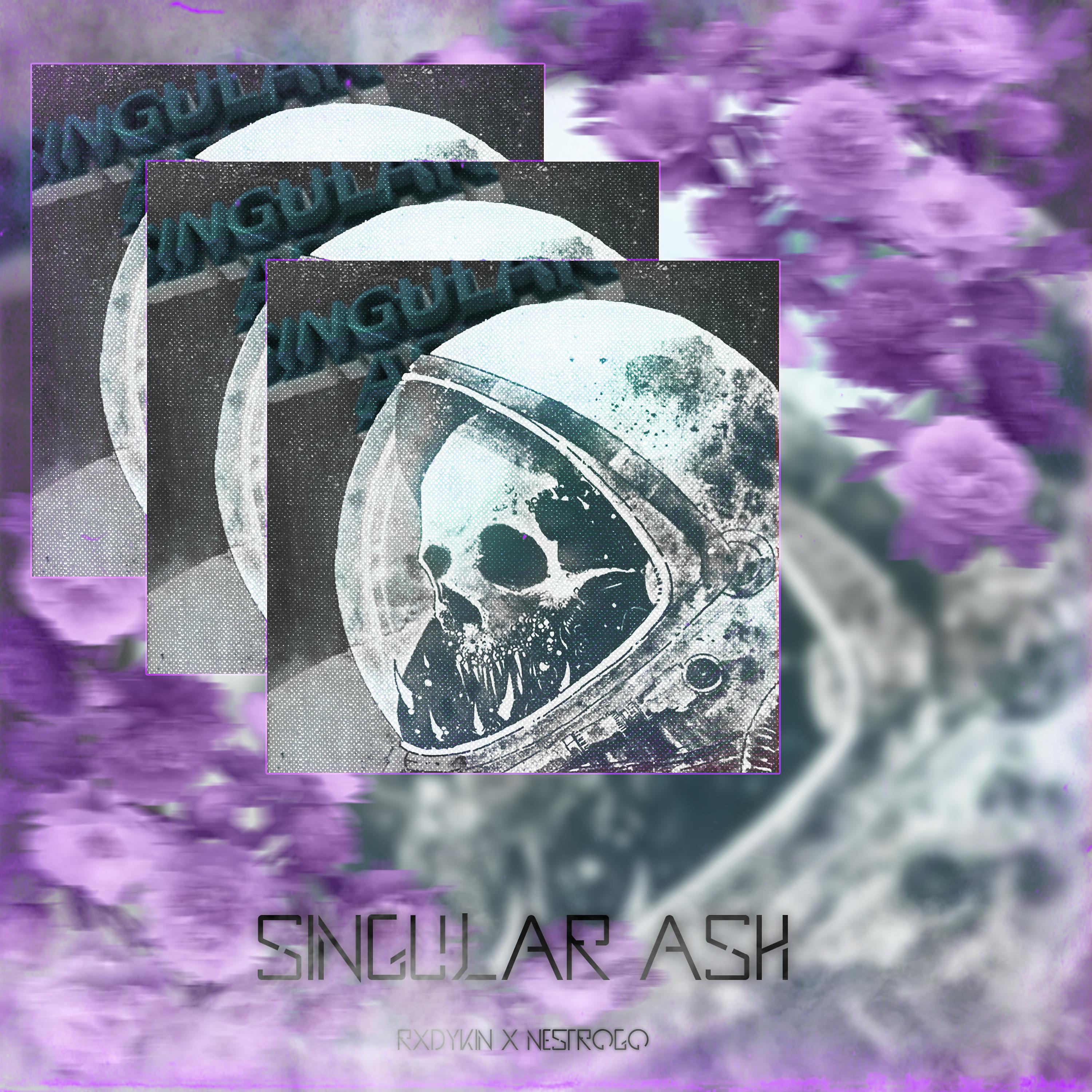 Постер альбома Singular Ash