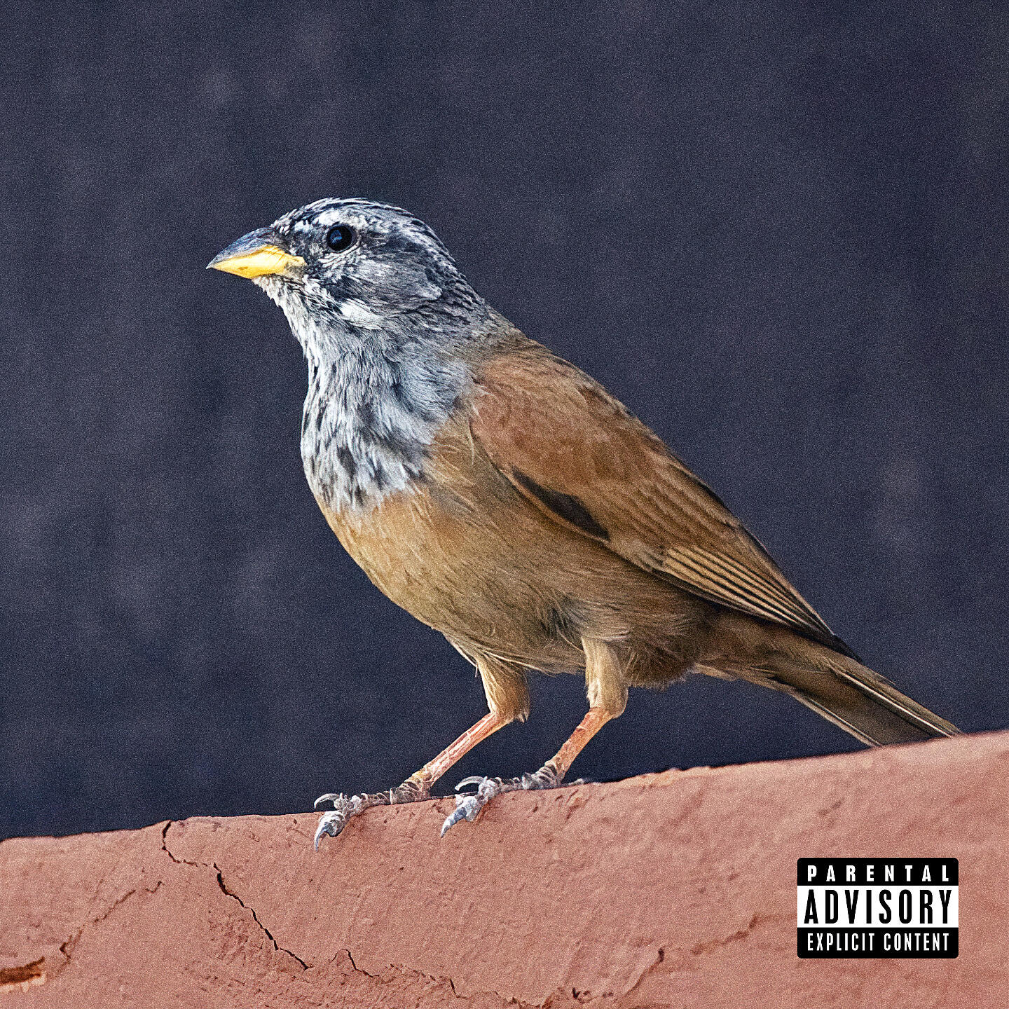 NESSYOU - Ftri9 Dar (Freestyle)