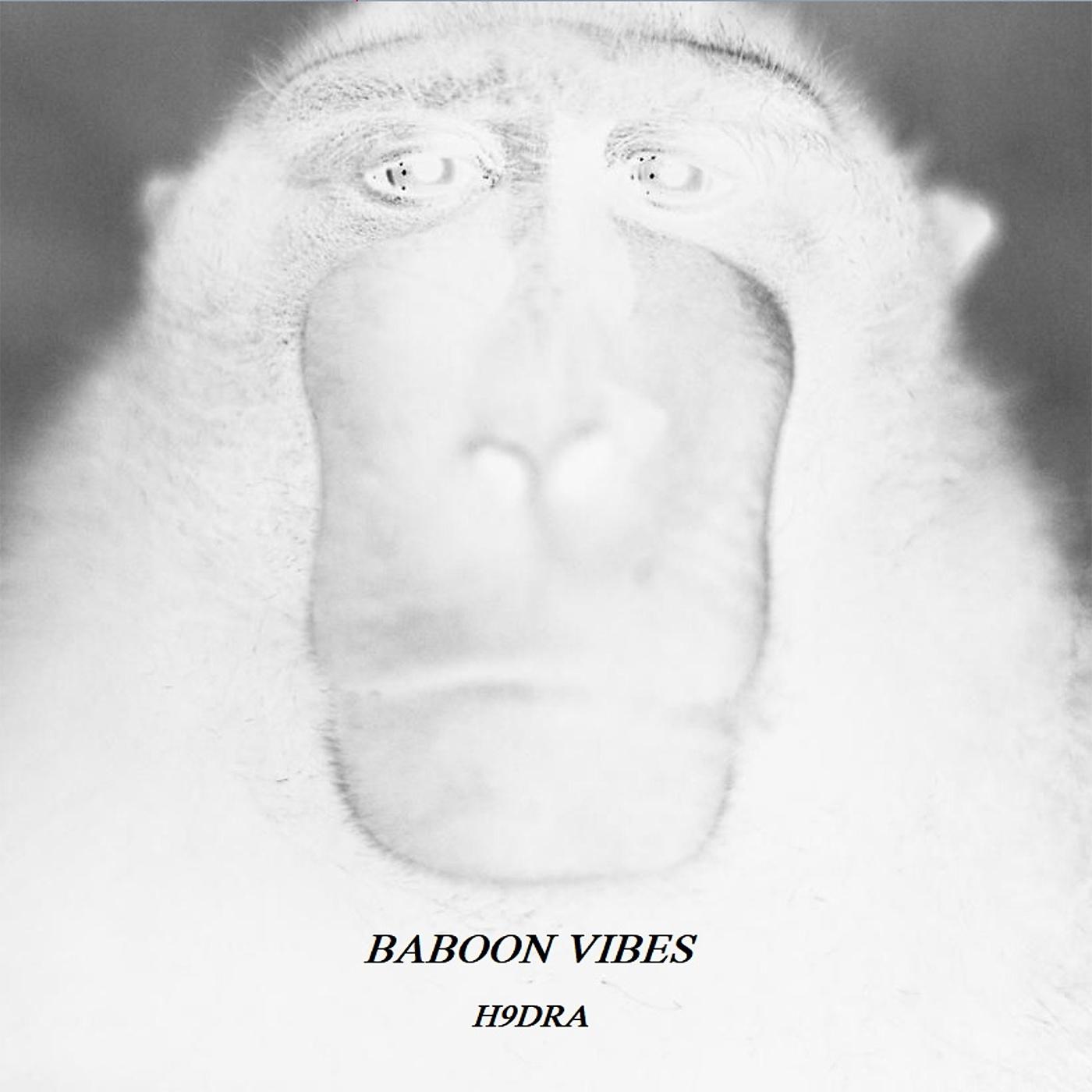 Постер альбома Baboon Vibes