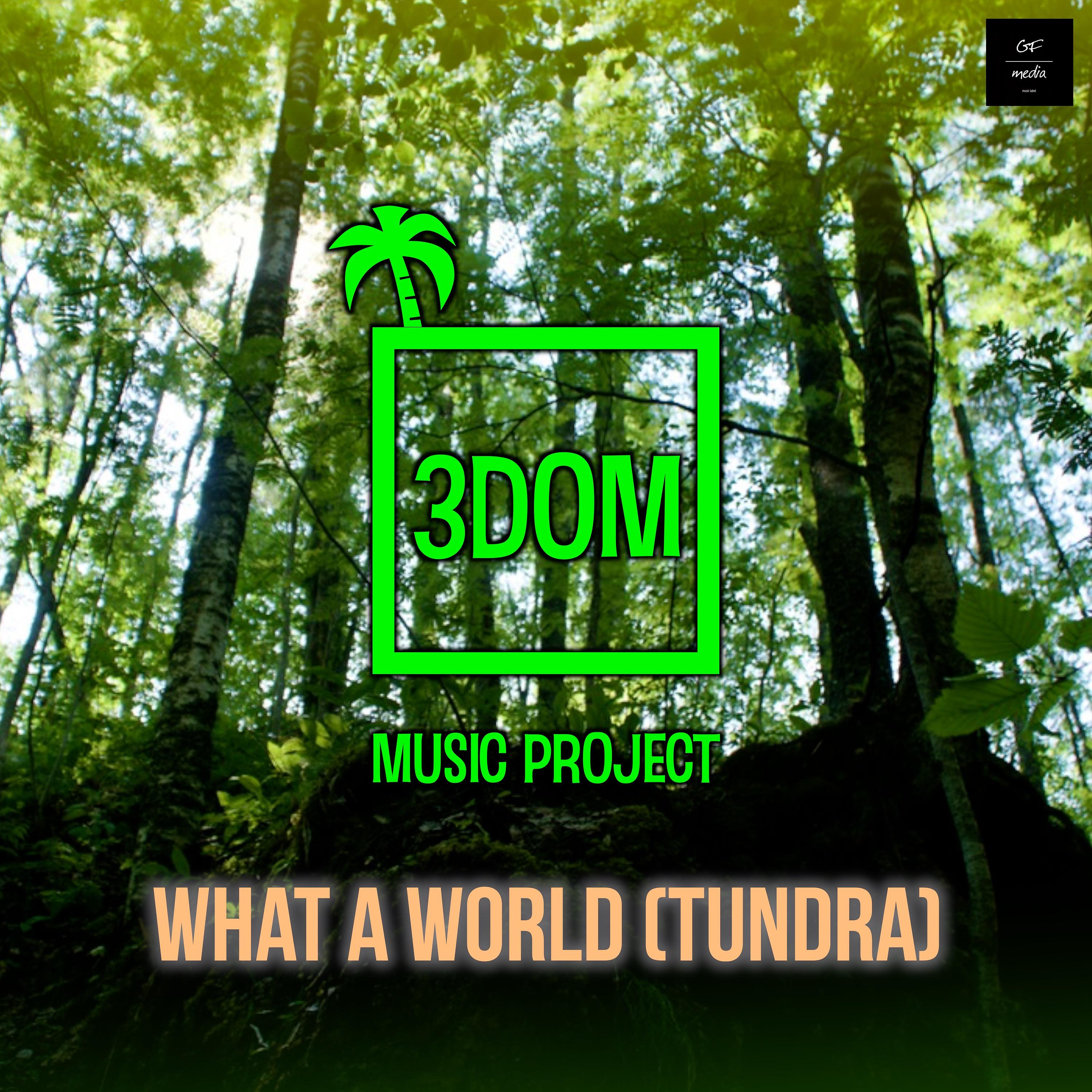 Постер альбома What a world (Tundra)