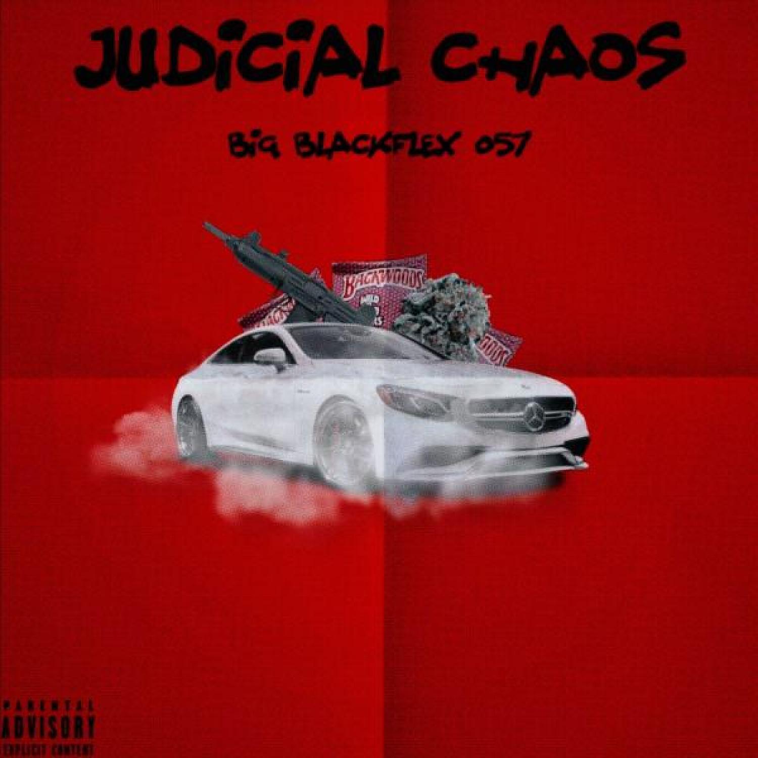 Постер альбома Judicial Chaos