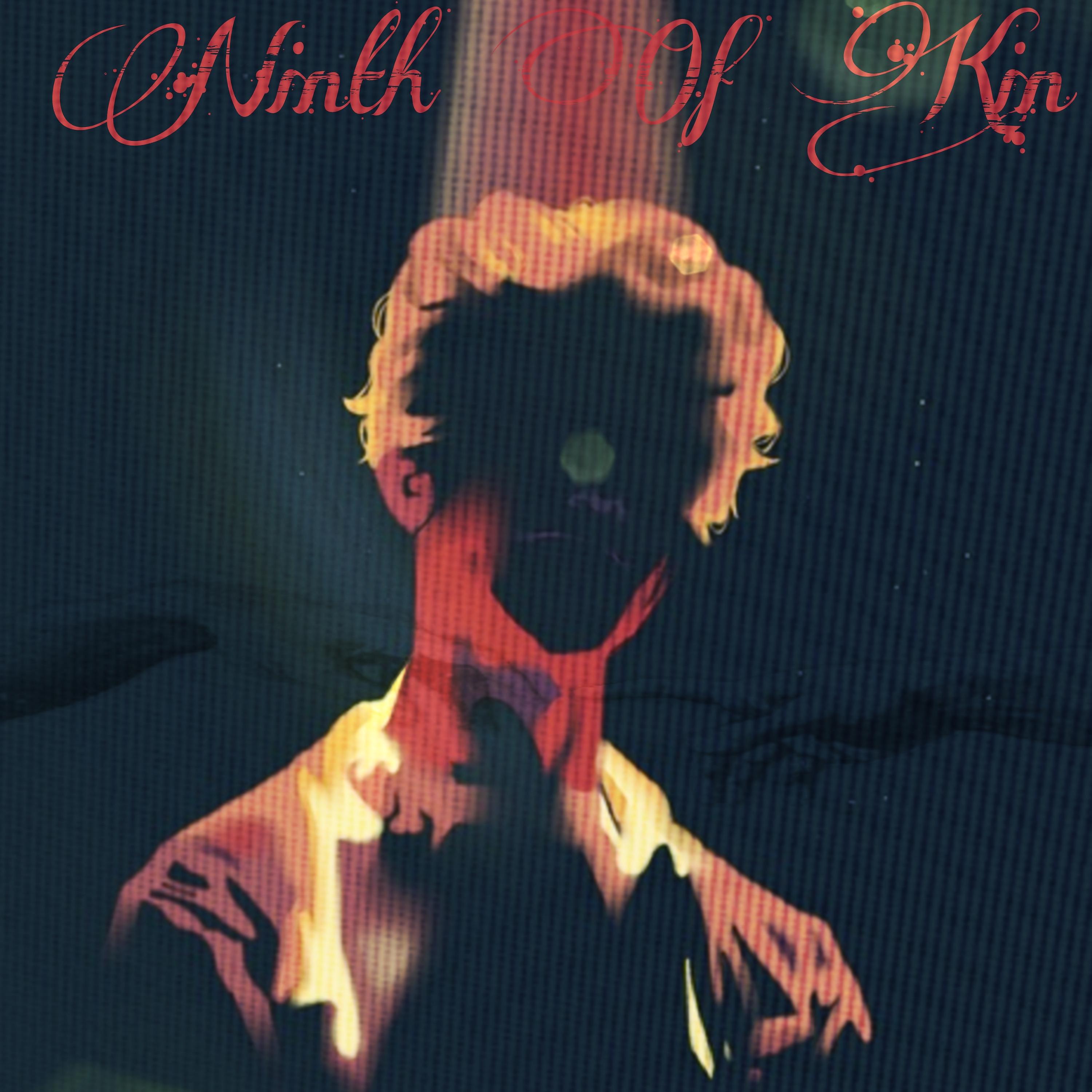 Постер альбома Ninth Of Kin