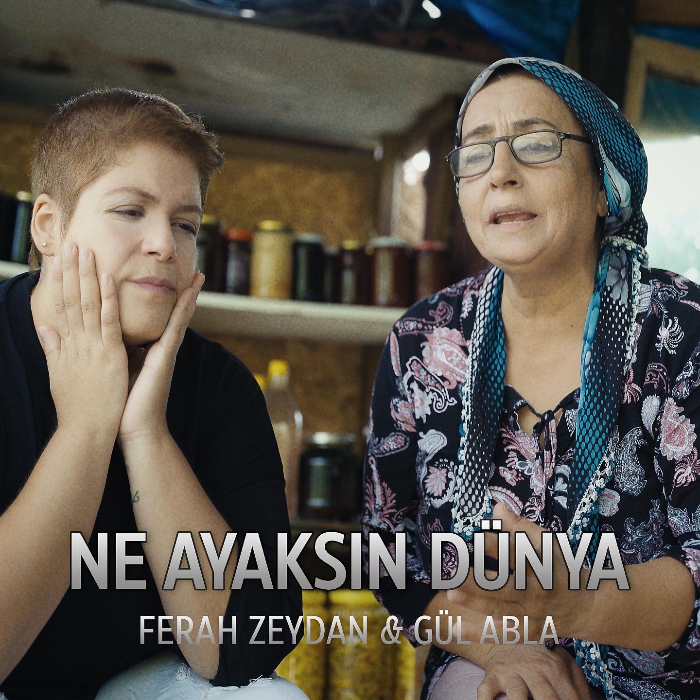 Постер альбома Ne Ayaksın Dünya
