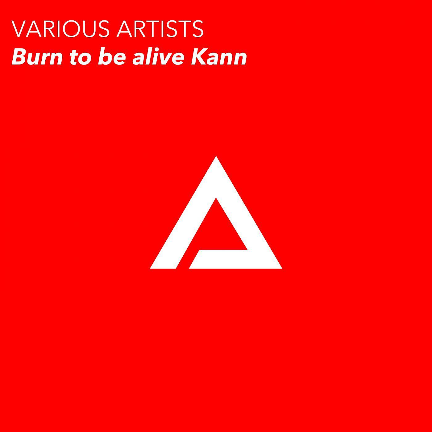 Постер альбома Burn To Be Alive Kann