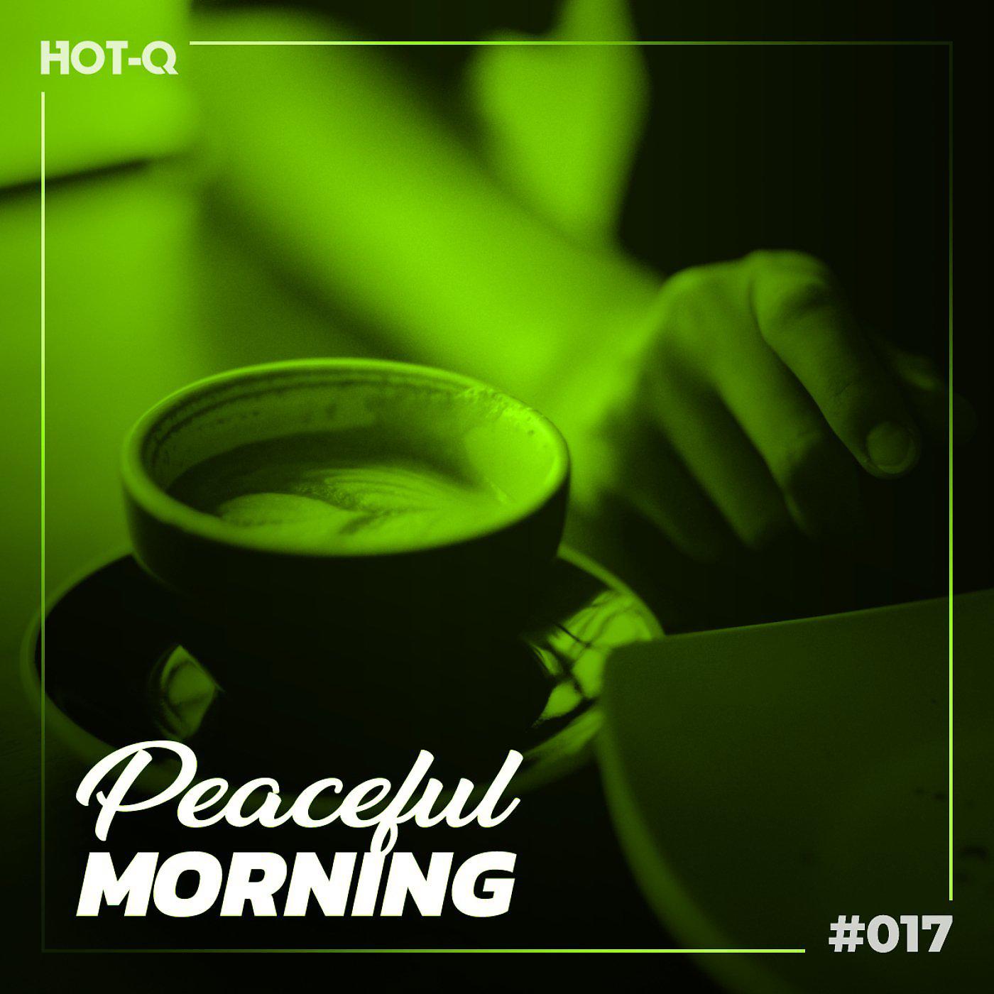 Постер альбома Peaceful Morning 017