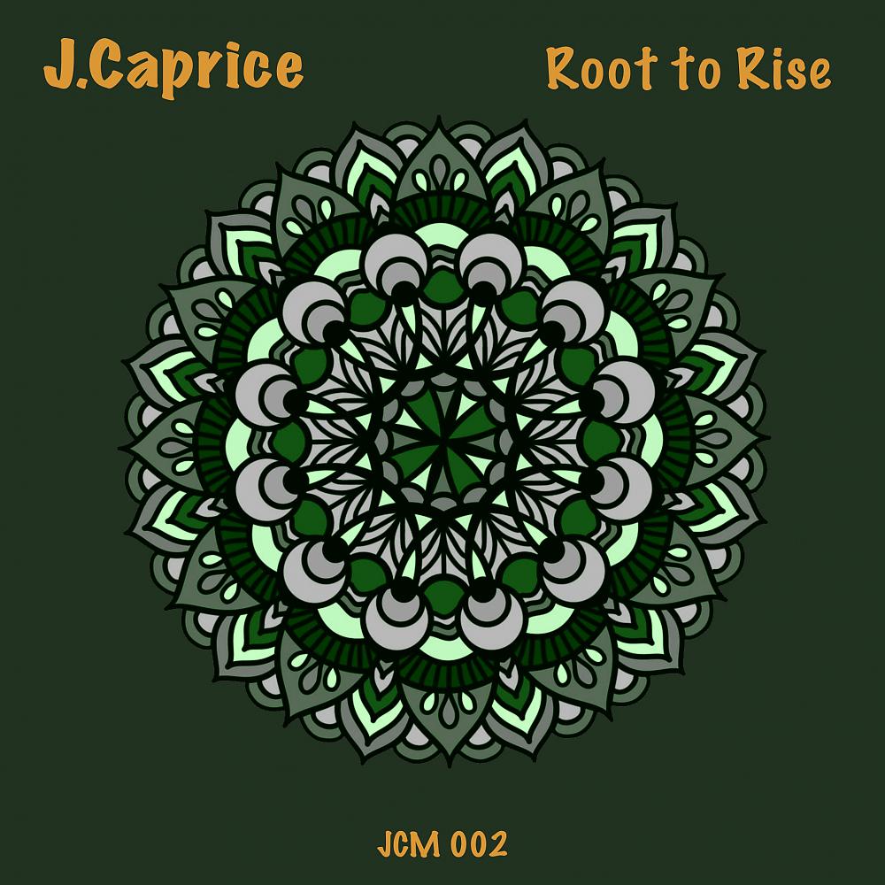 Постер альбома Root to Rise