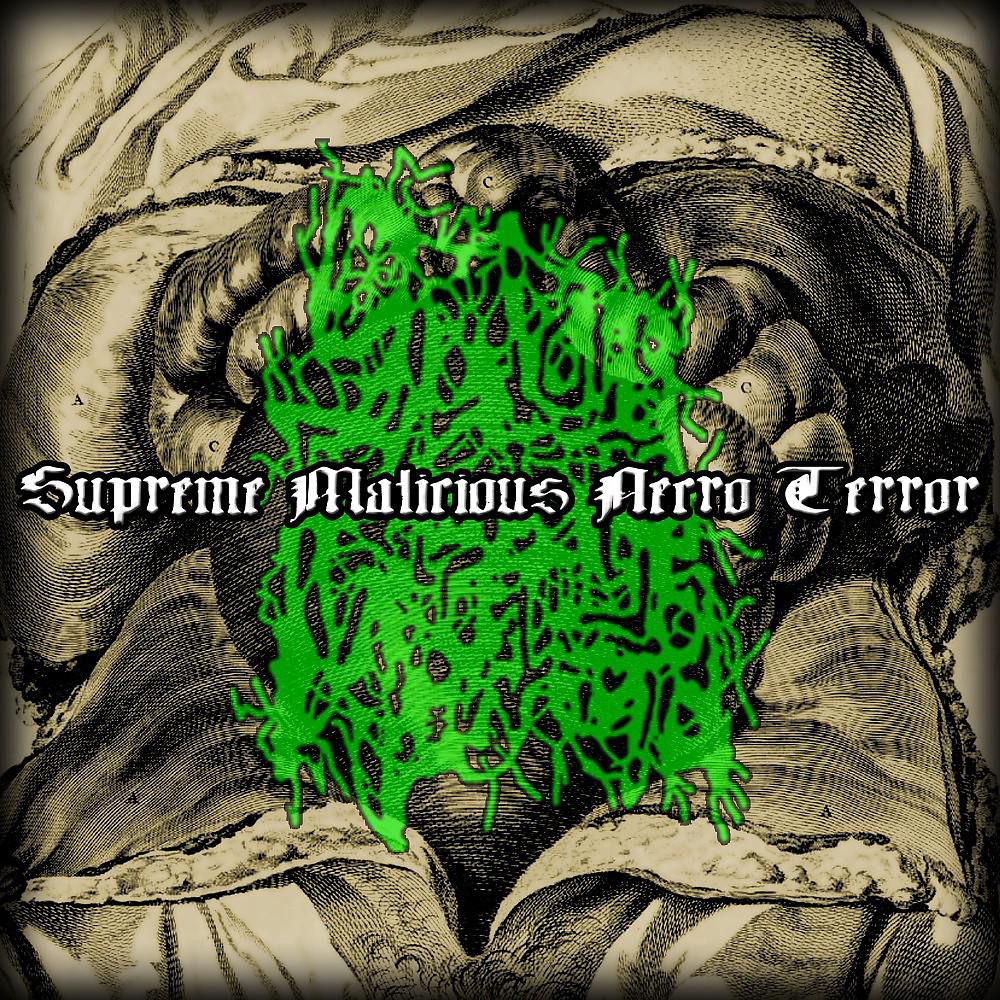 Постер альбома Supreme Malicious Necro Terror