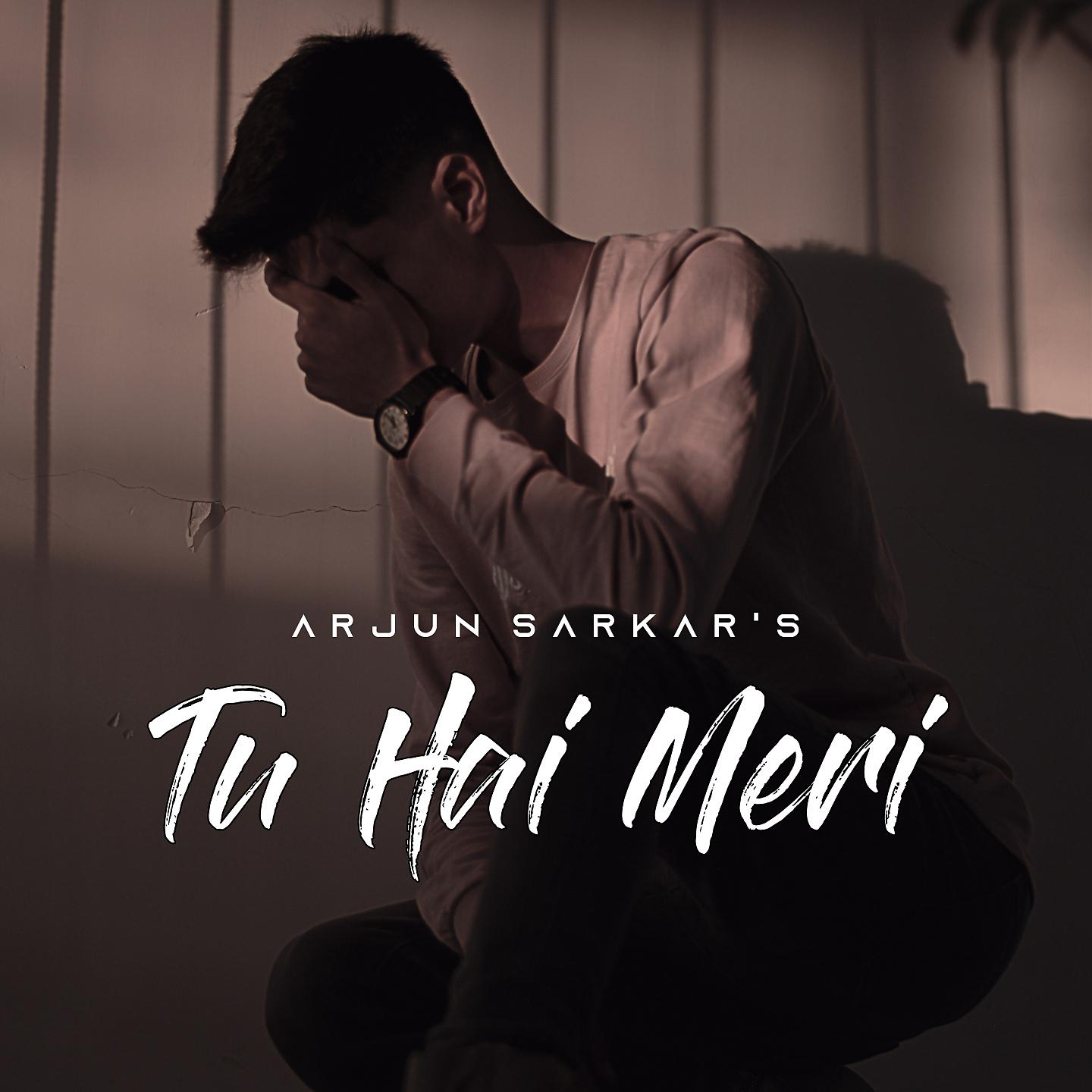 Постер альбома Tu Hai Meri