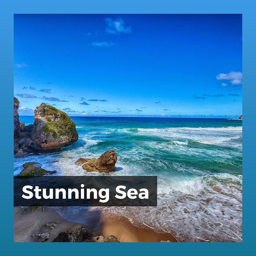 Постер альбома Stunning Sea
