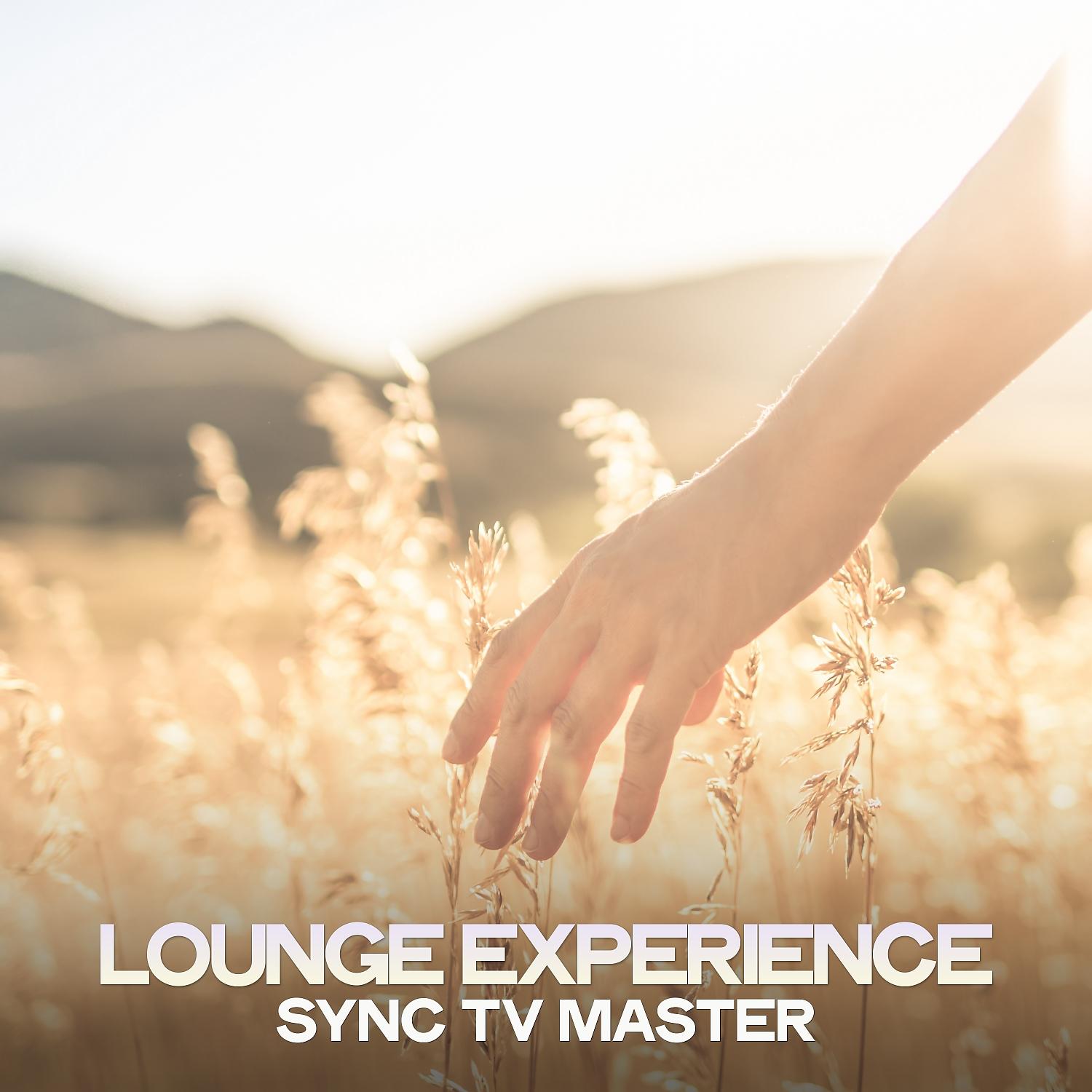 Постер альбома Lounge Experience