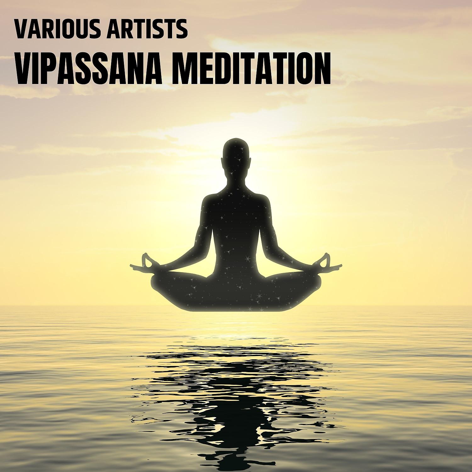 Постер альбома Vipassana Meditation