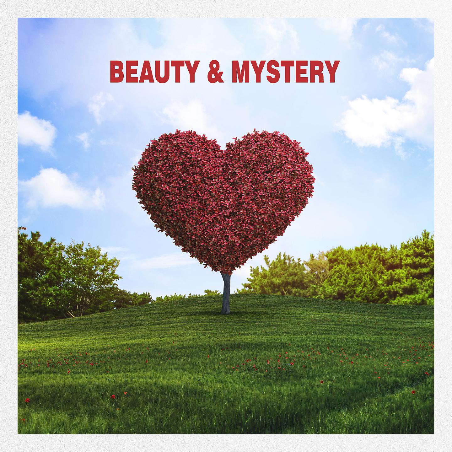 Постер альбома Beauty & Mystery