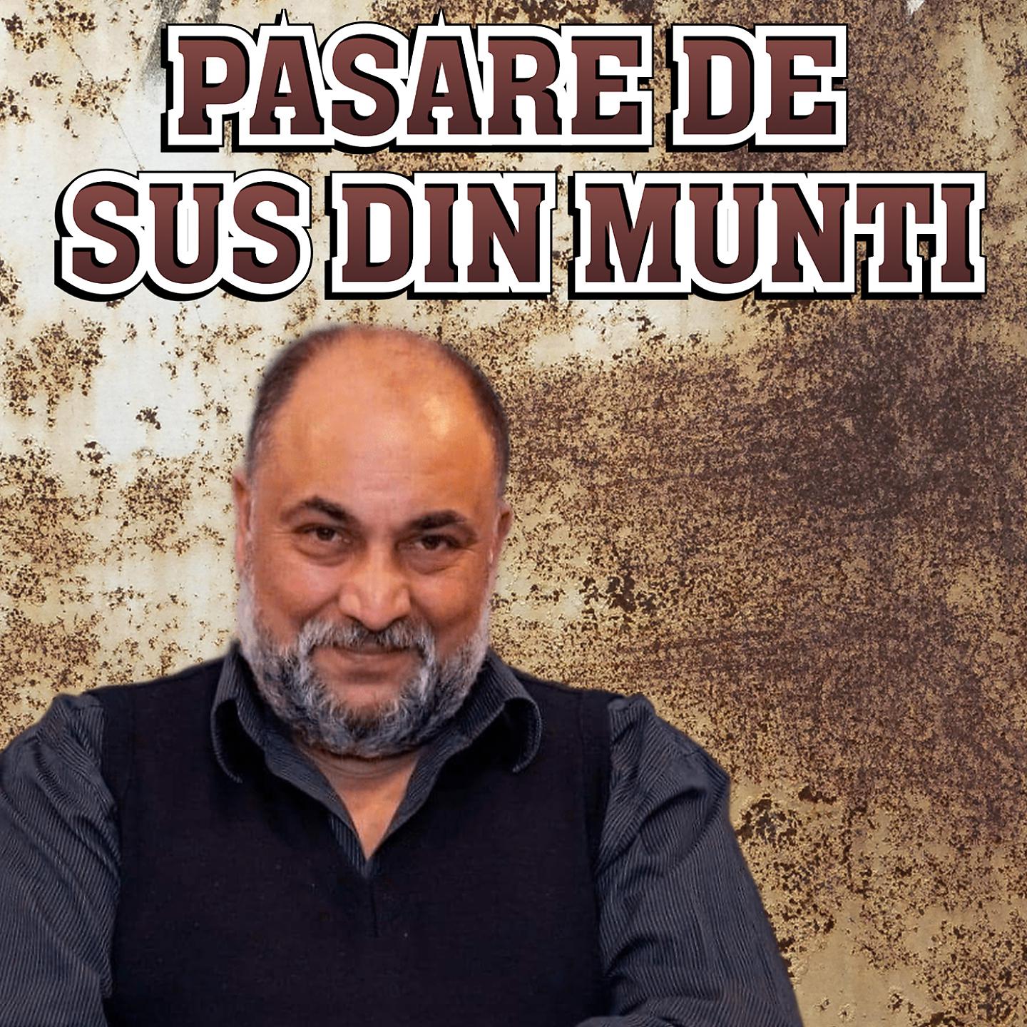 Постер альбома PASARE DE SUS DIN MUNTI