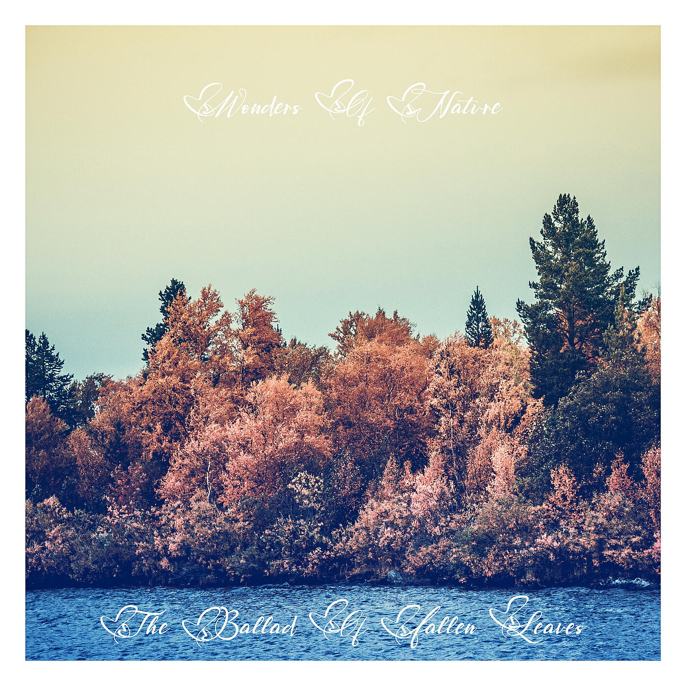 Wonders Of Nature - The Ballad of Fallen Leaves