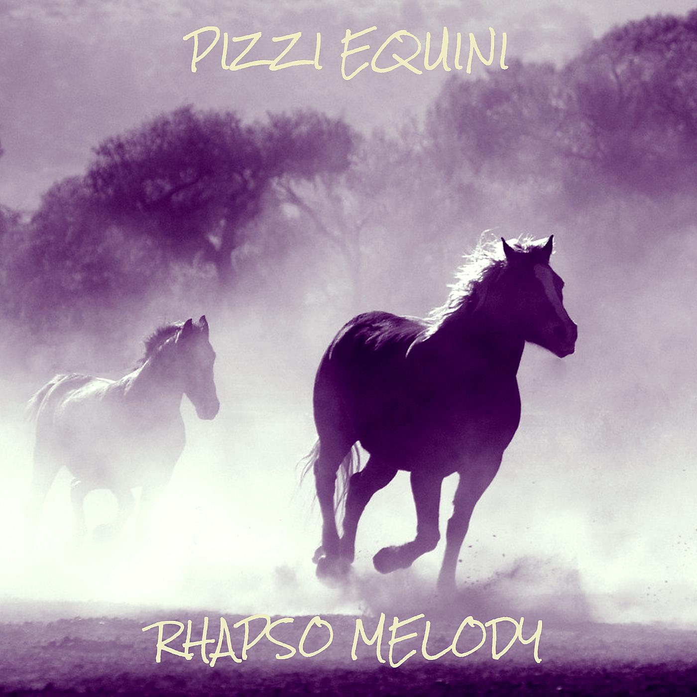 Постер альбома Pizzi equini