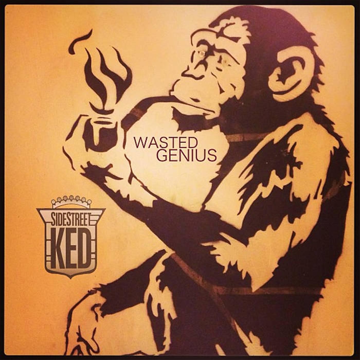 Постер альбома Wasted Genius