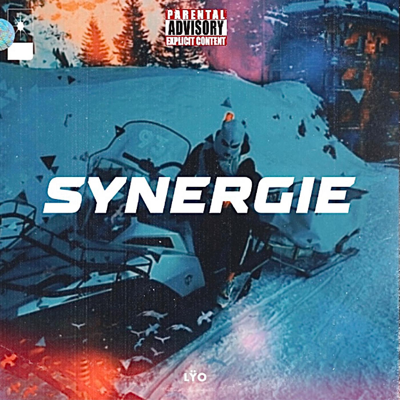 Постер альбома Synergie
