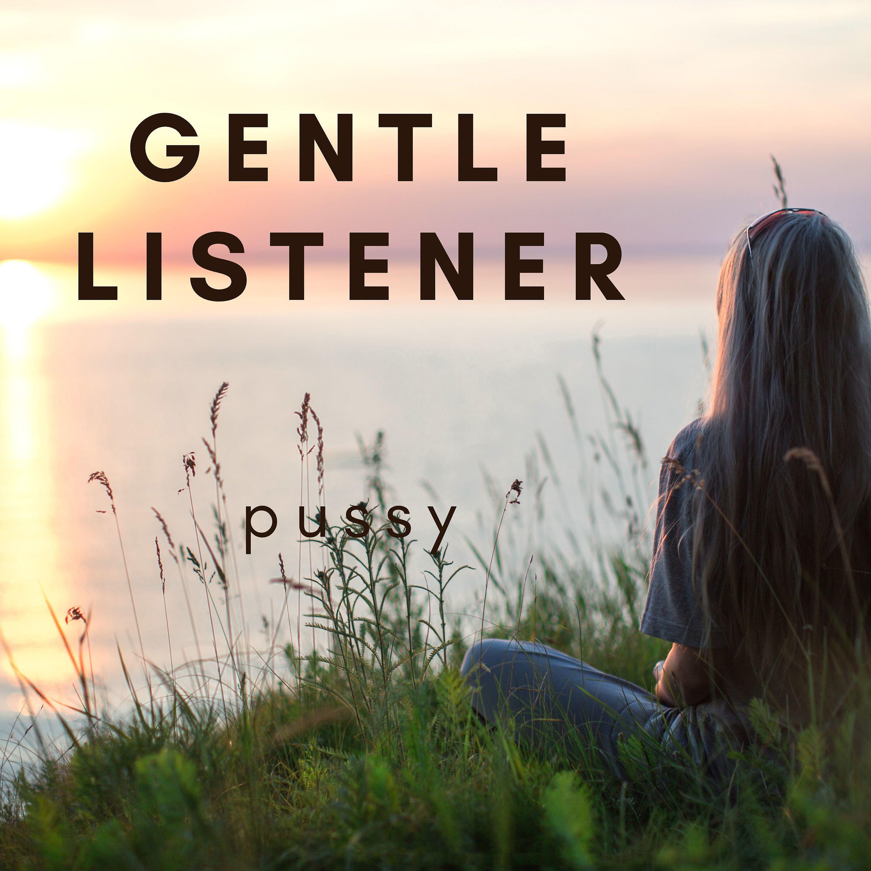 Постер альбома Gentle Listener