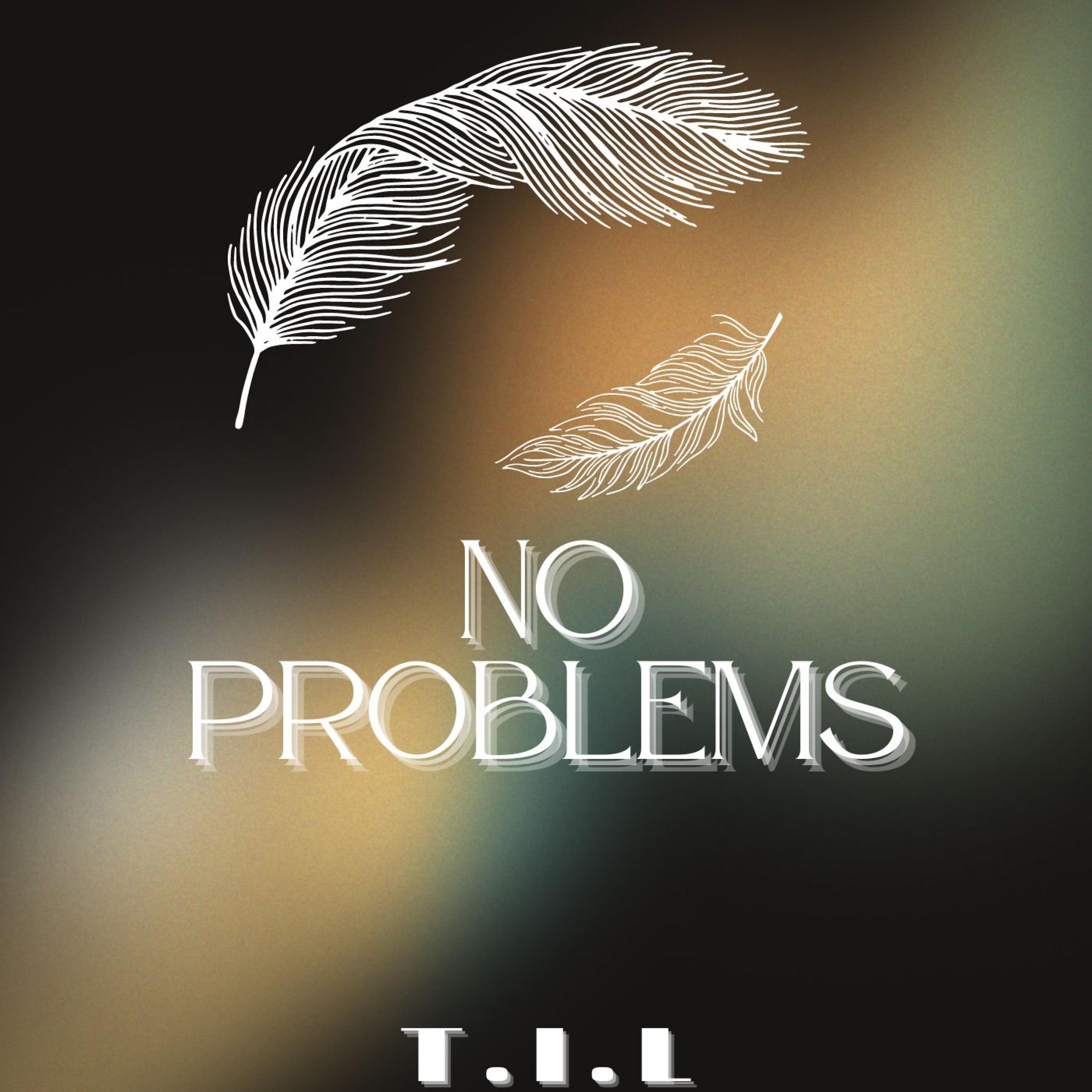 Постер альбома No Problems
