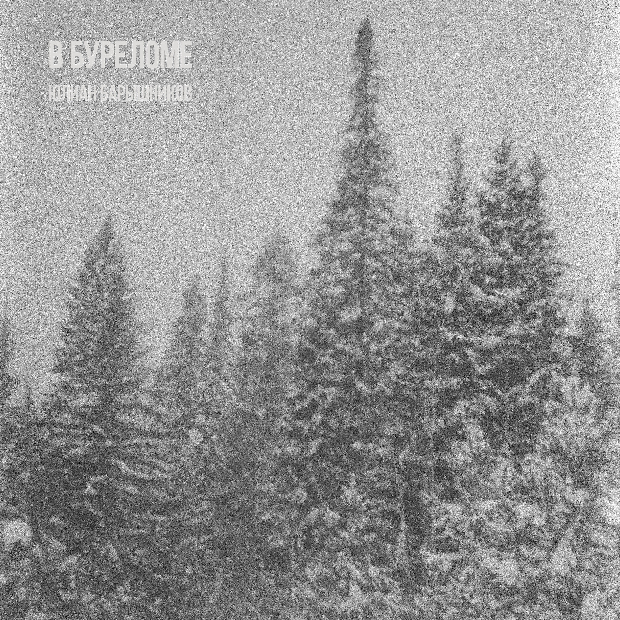 Буреломами край бурановый под охраною слушать. Бурелом. Еловый бурелом Пастернак