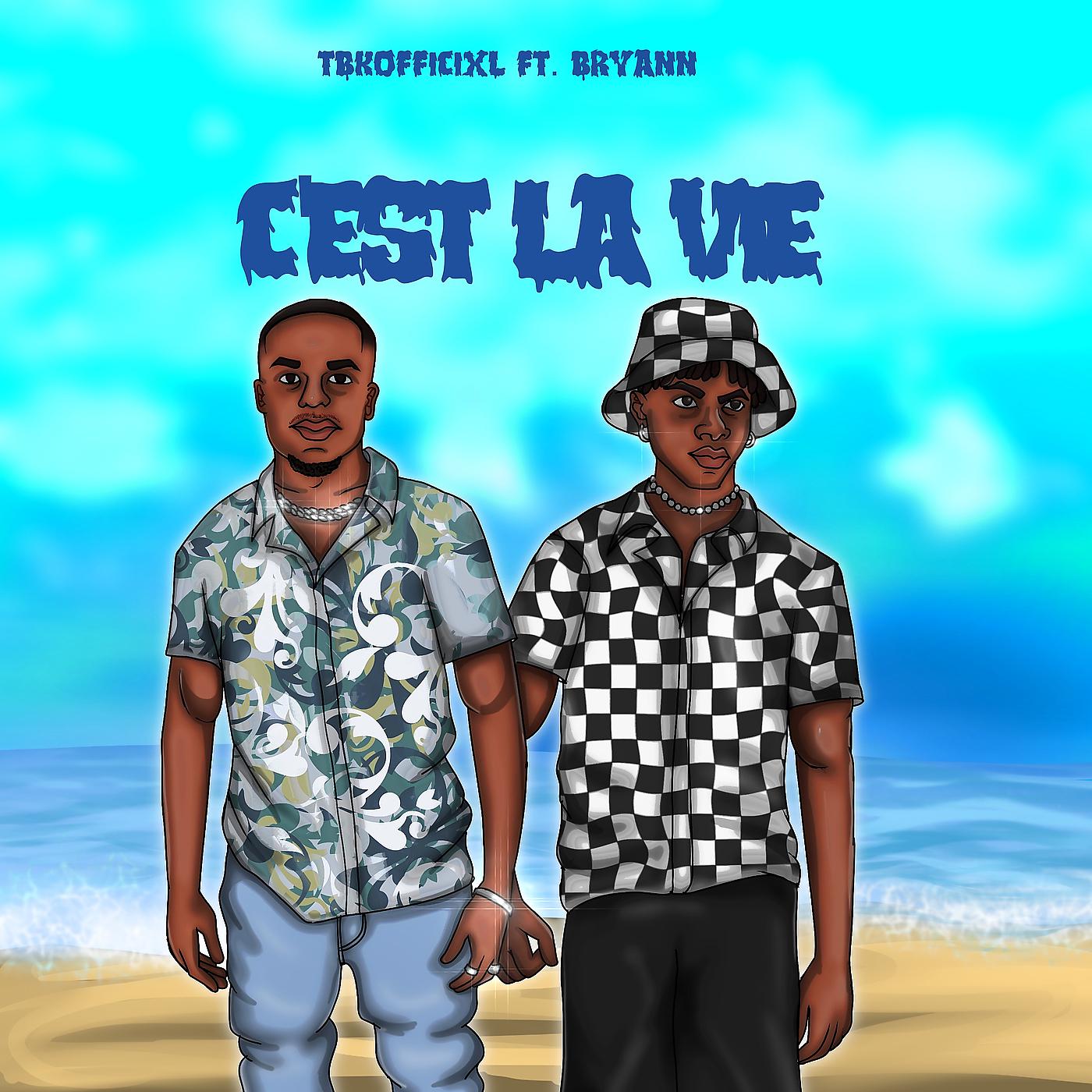 Постер альбома Cest La Vie