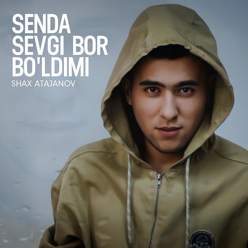 Постер альбома Senda sevgi bor bo'ldimi