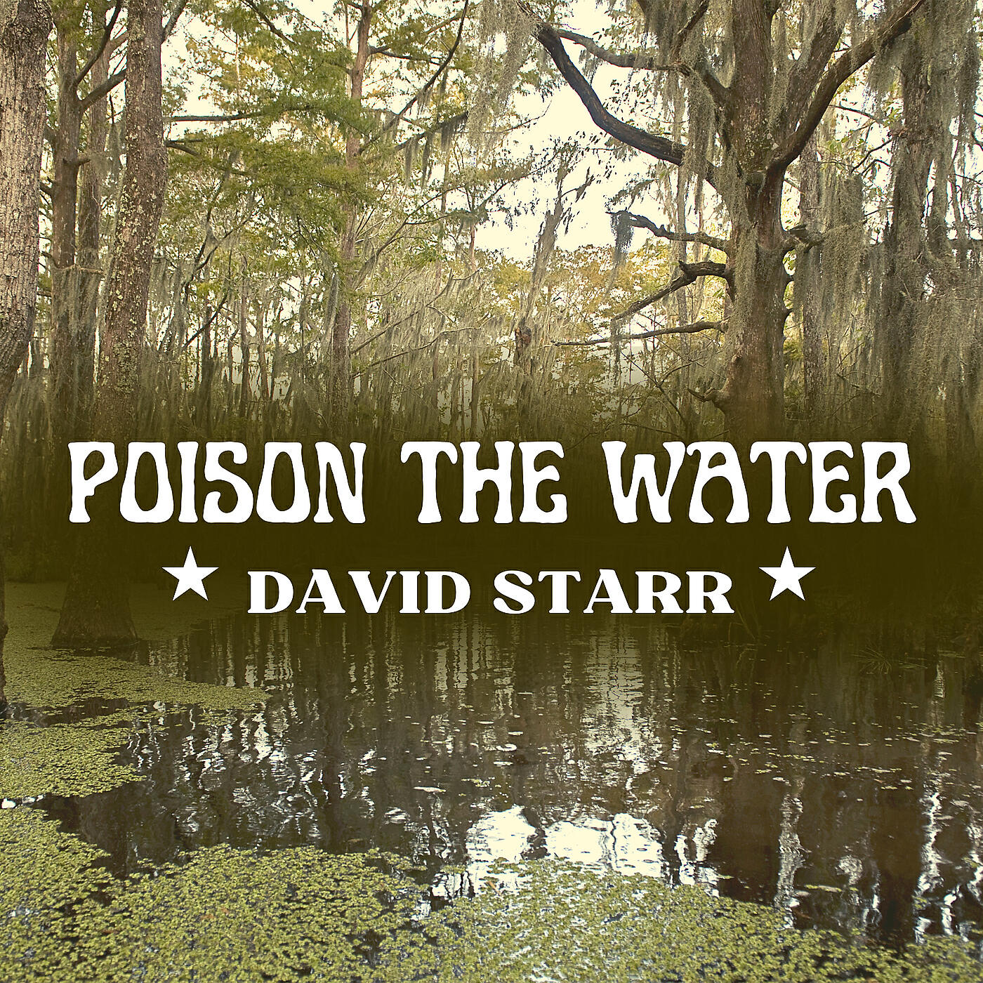 David Starr - Poison the Water