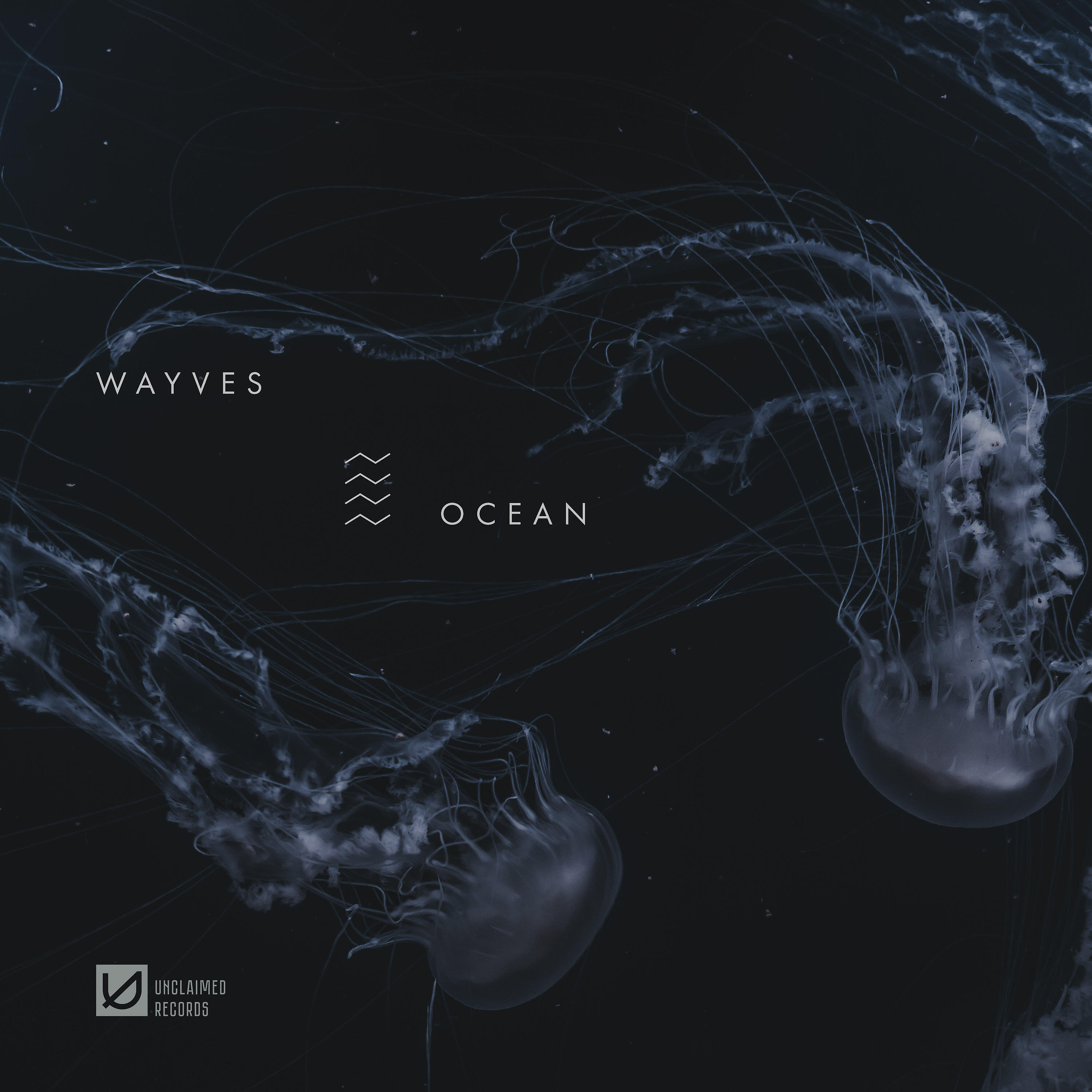 WAYVES - Ocean