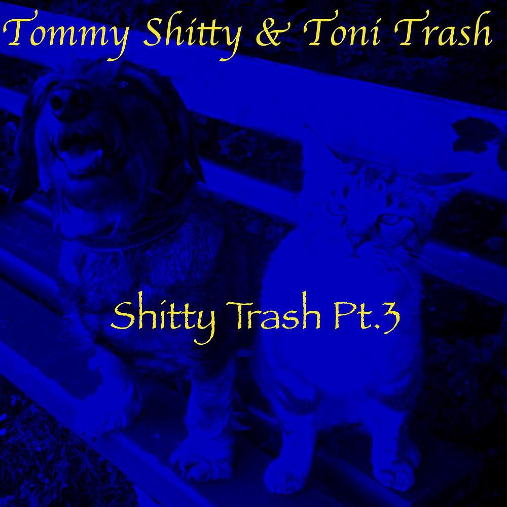 Постер альбома Shitty Trash Pt/3