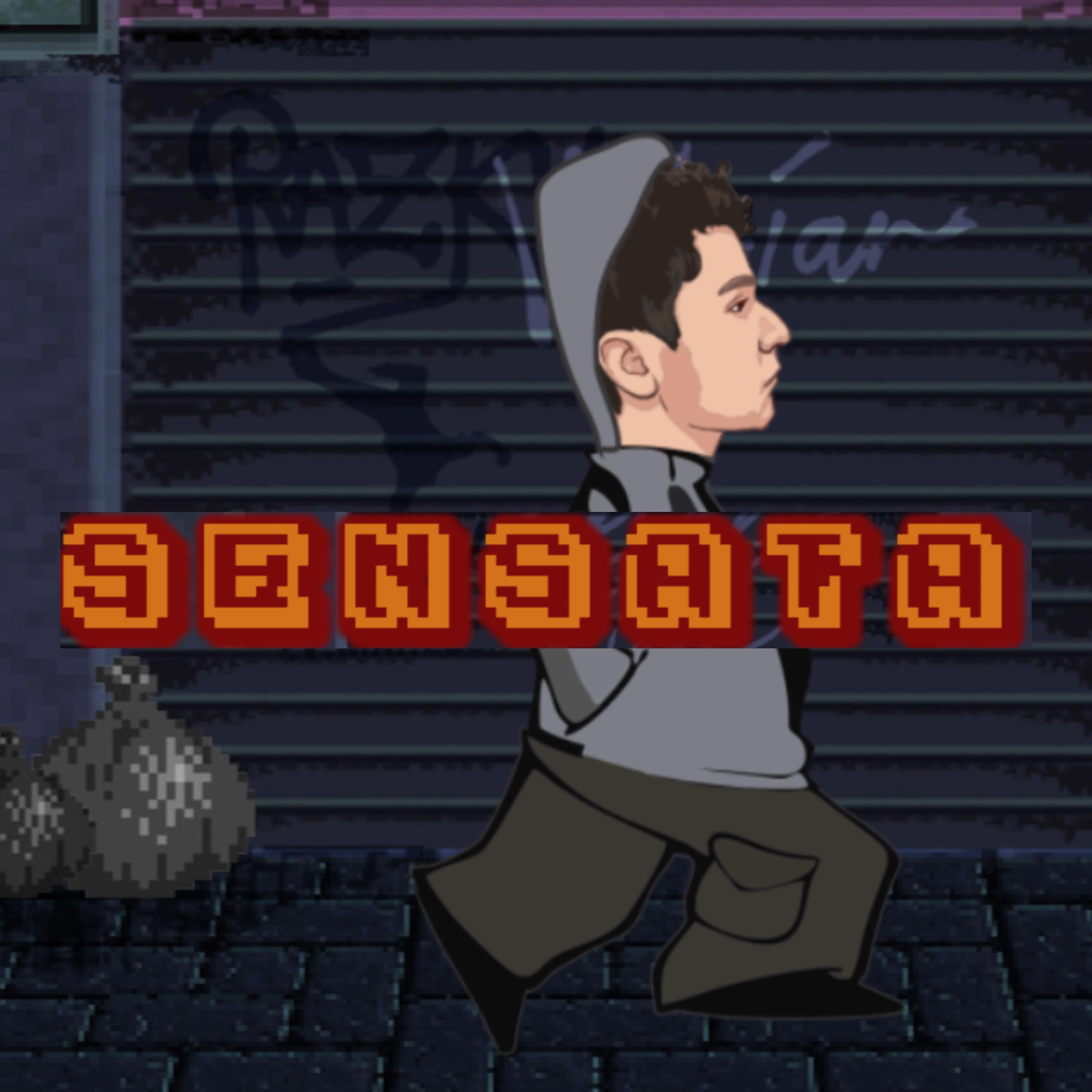 Постер альбома Sensata