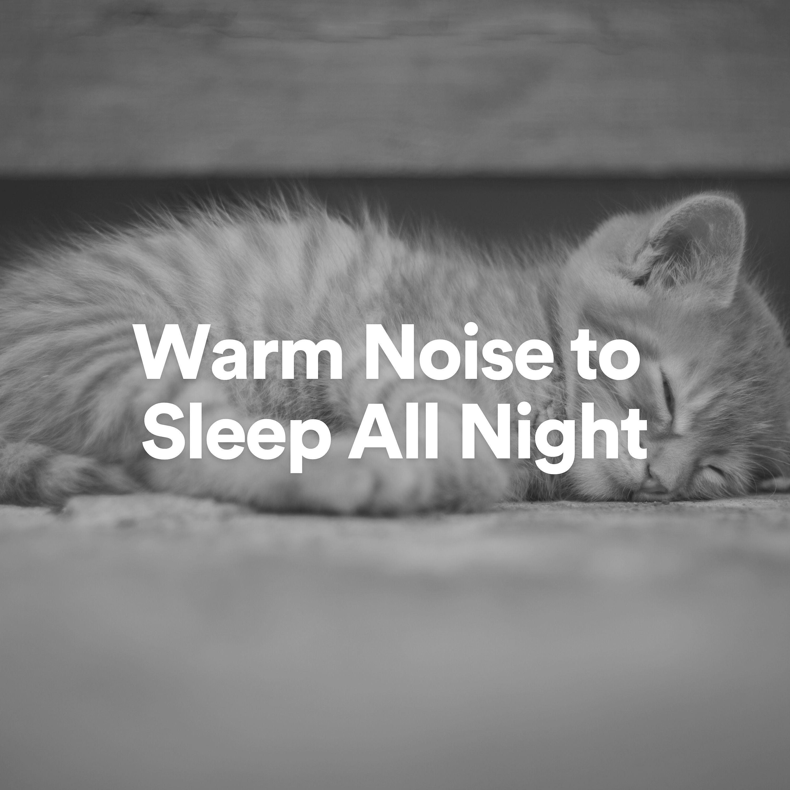 Постер альбома Warm Noise to Sleep All Night