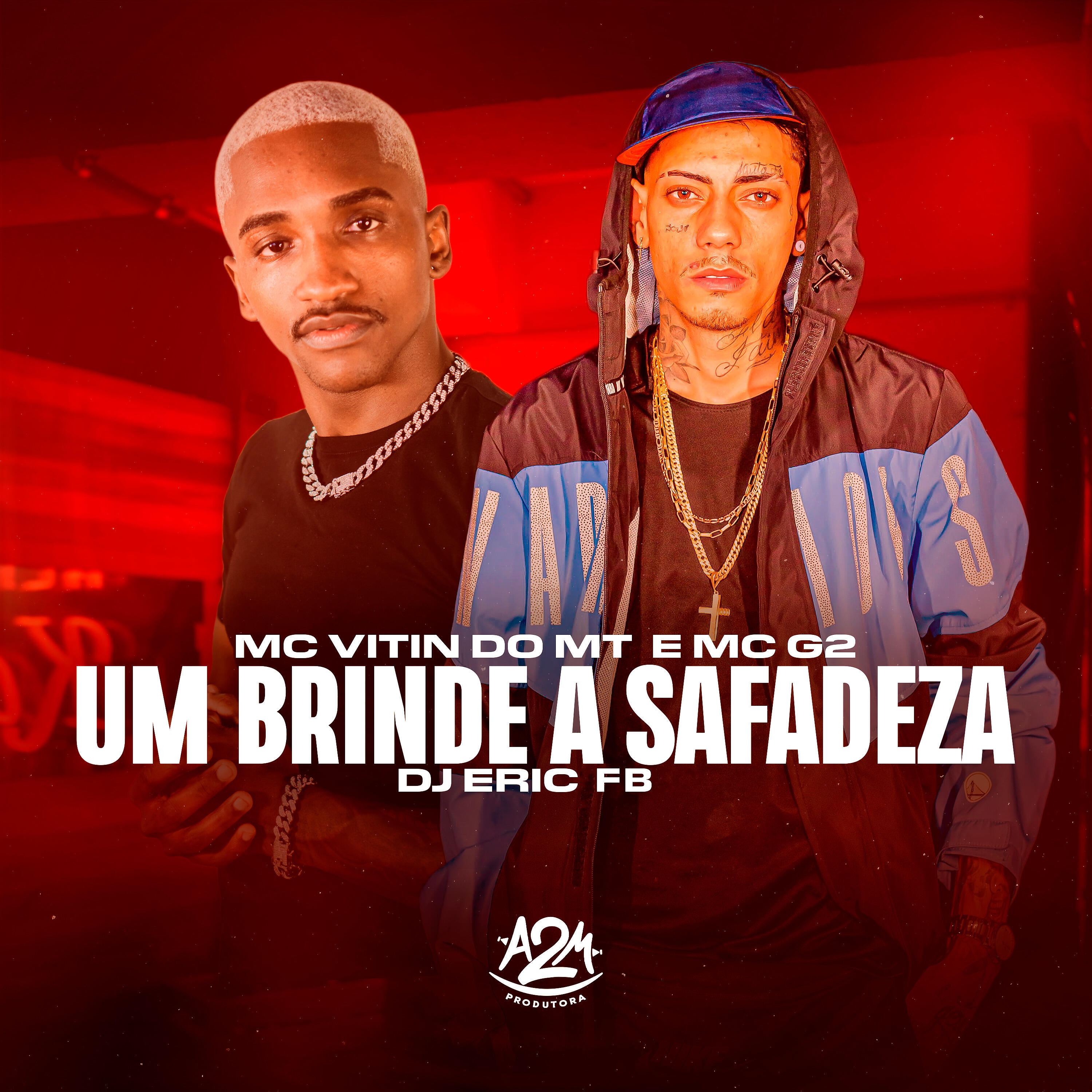 Mc Vitin do MT - Um Brinde a Safadeza