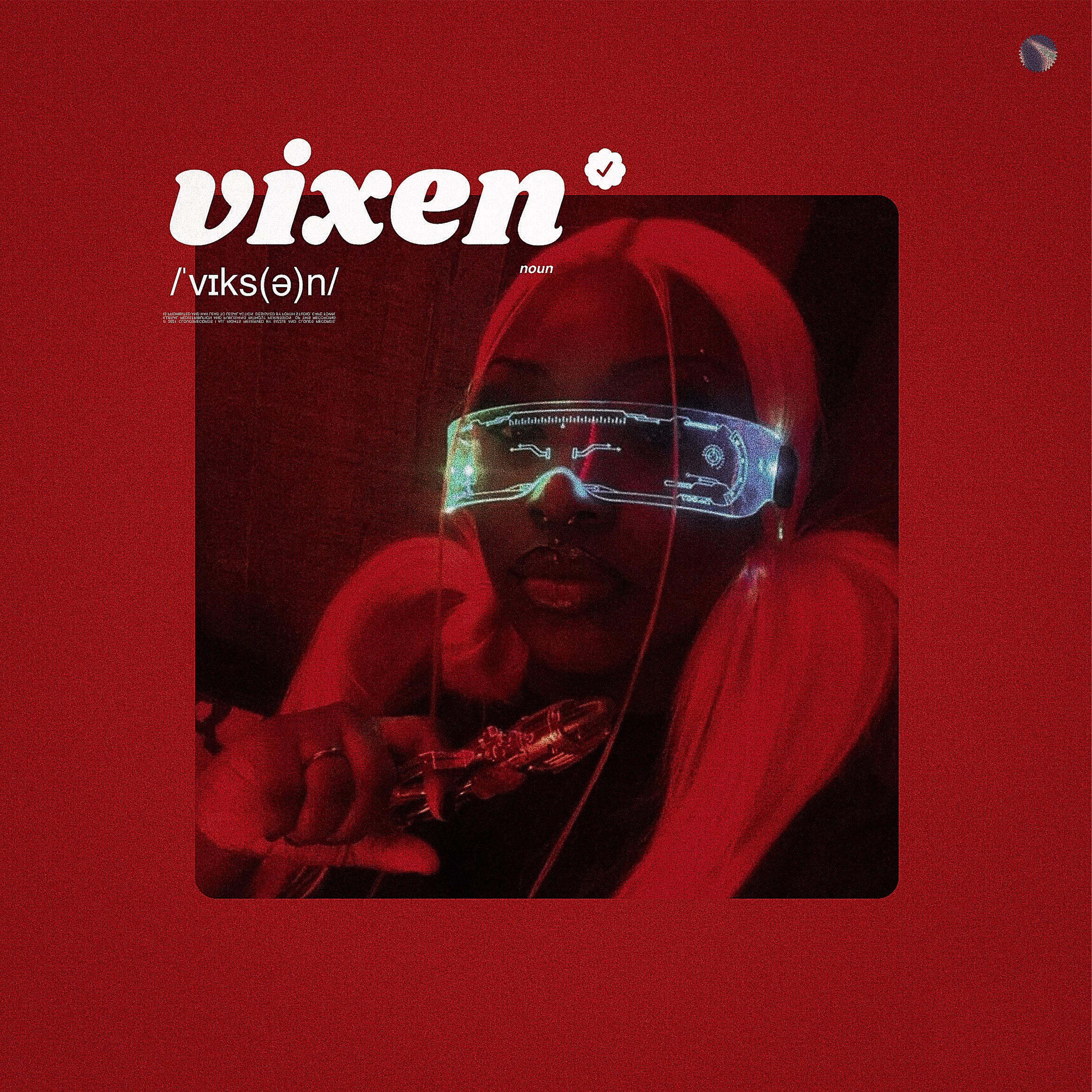 Постер альбома Vixen