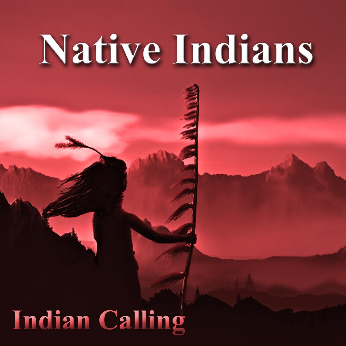 Indian Calling - The Last of His Tribe (Native American Music)
